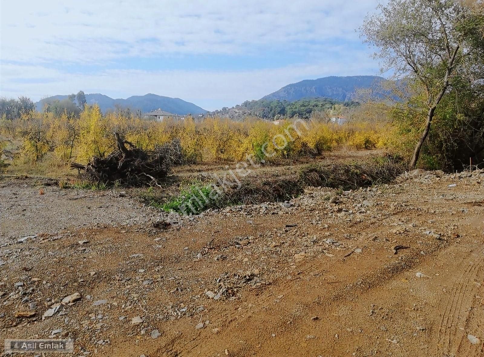 Asil Emlaktan Güzelyurtta Satılık 3 Dönüm Arsa - Görsel 11