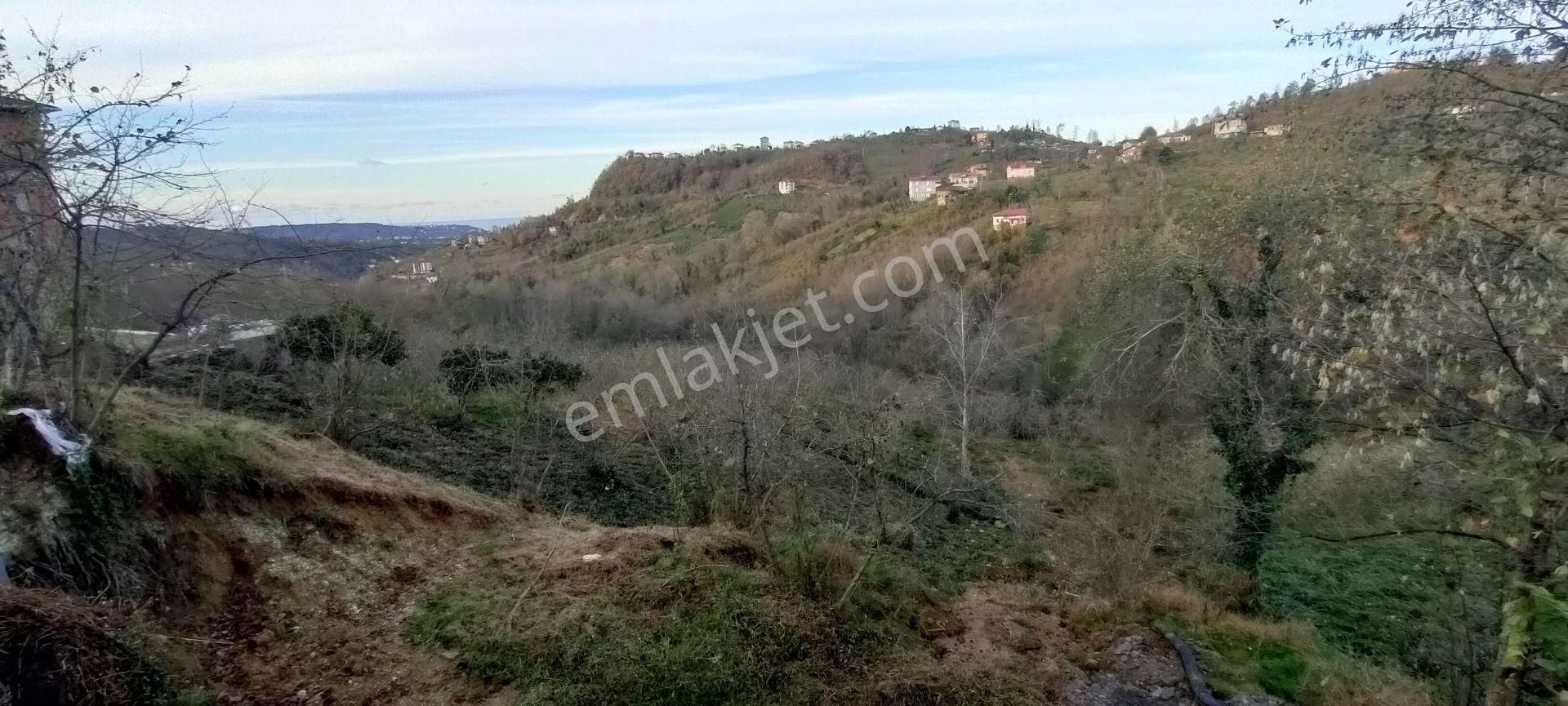 Sürmene Petekli De Satılık Yol Kenarı Çok Güzel Arazi - Görsel 13