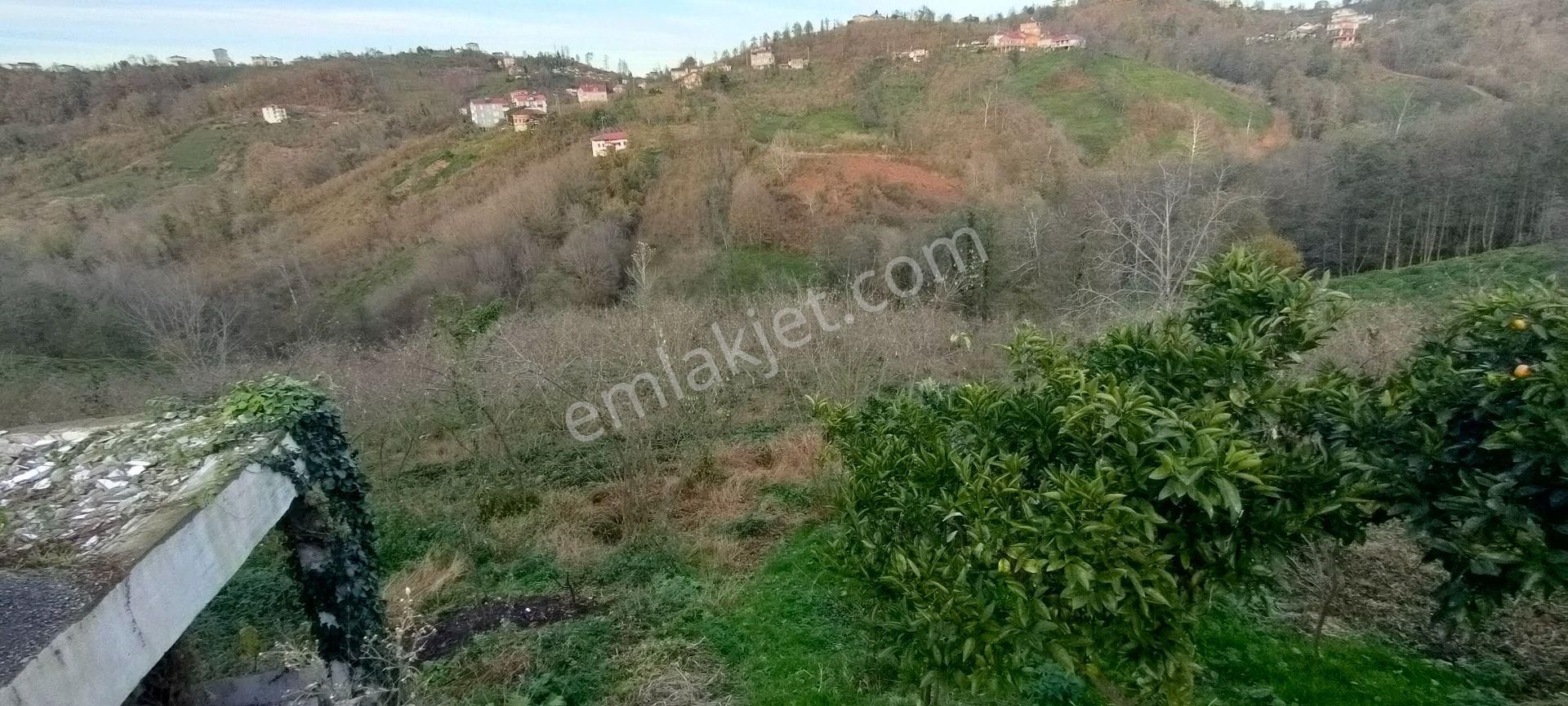 Sürmene Petekli De Satılık Yol Kenarı Çok Güzel Arazi - Görsel 28