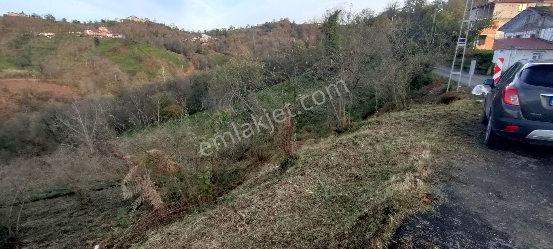 Sürmene Petekli De Satılık Yol Kenarı Çok Güzel Arazi - Görsel 6