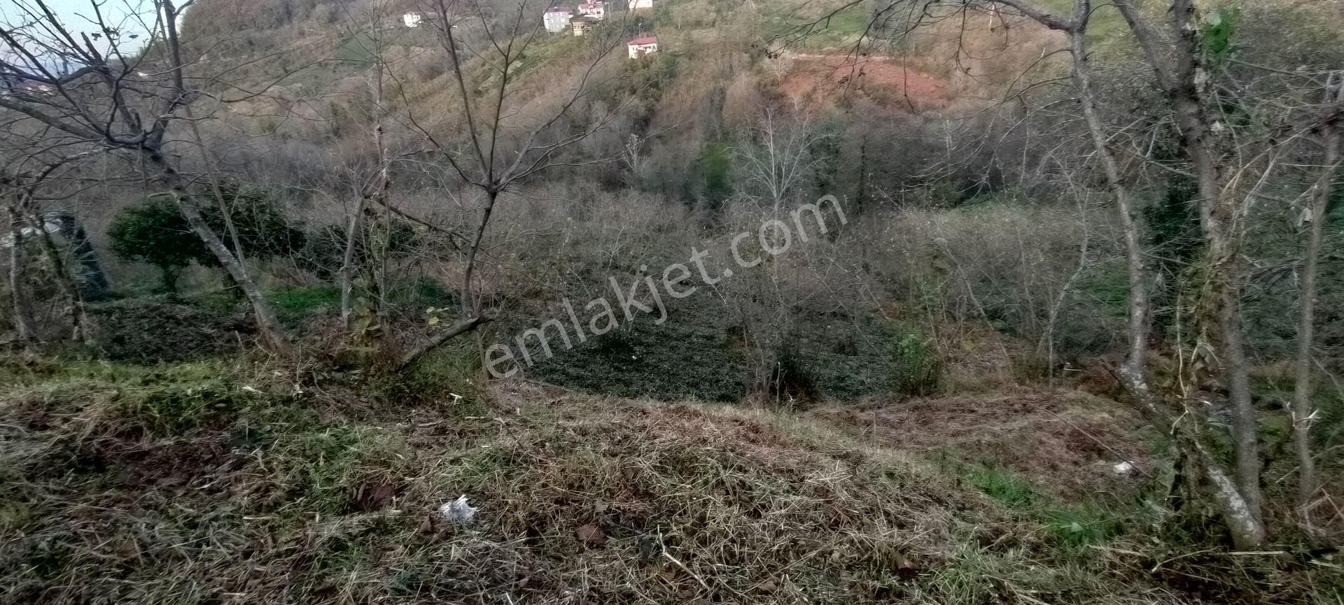 Sürmene Petekli De Satılık Yol Kenarı Çok Güzel Arazi - Görsel 10