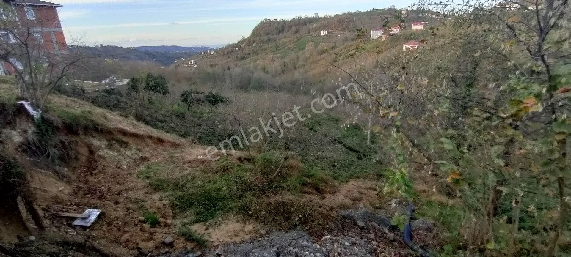 Sürmene Petekli De Satılık Yol Kenarı Çok Güzel Arazi - Görsel 14