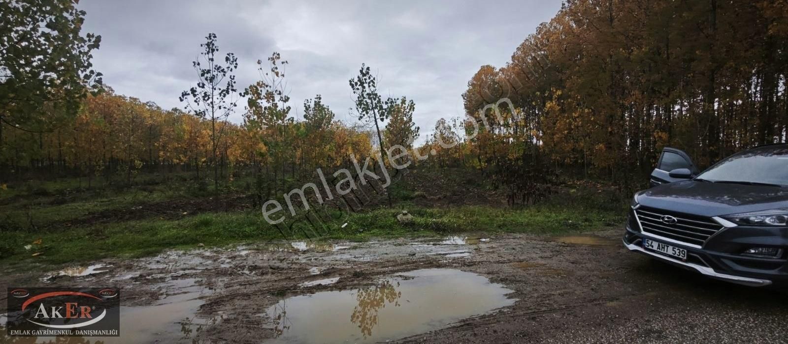 Kabakulak Ta Asvalt Kenarı Müstakil Tapu Hayvancılık Atölye Yapı - Görsel 9