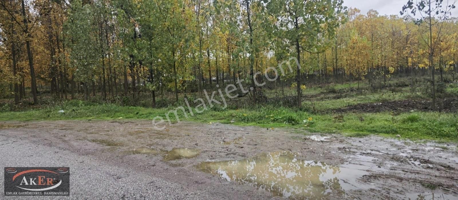 Kabakulak Ta Asvalt Kenarı Müstakil Tapu Hayvancılık Atölye Yapı - Görsel 13