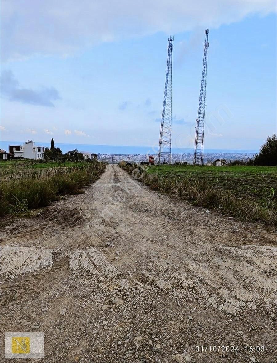 19 Mayıs Dereköy Satılık Tarla Nş Gayrimenkul Hülya'dan Derekoyde Satılık Arsa