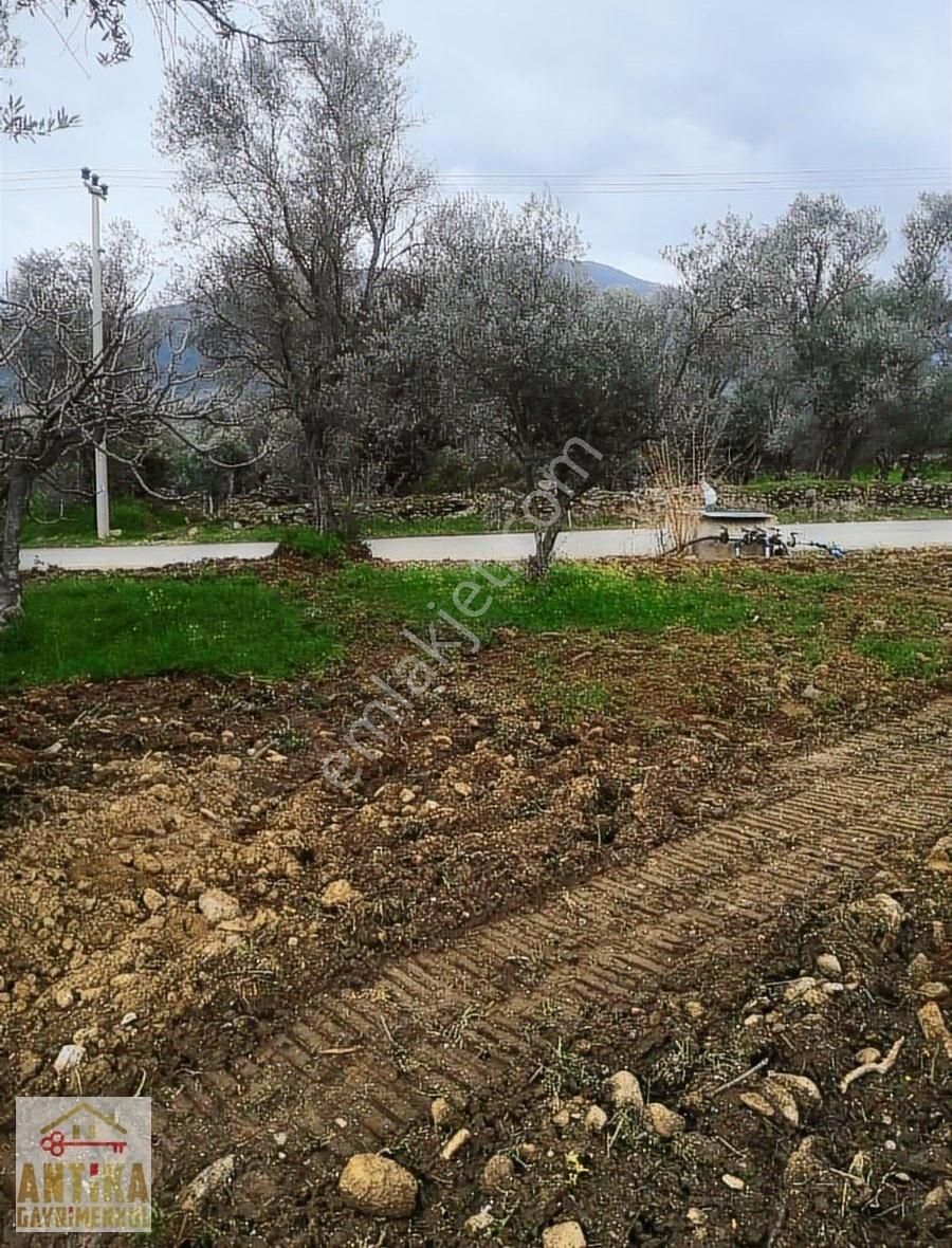 Ödemiş Bademli Satılık Zeytinlik Antika Gayrimenkul'den Anayola Cepheli Hobi Bahçesi