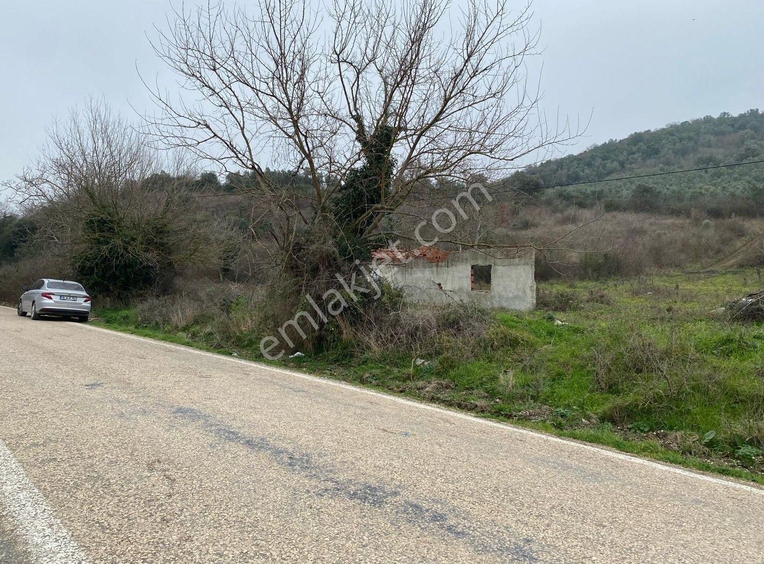 Mudanya Tirilye Satılık Tarla Mudanya Talatbey'de Anayol Üstü Sahil ,e Yakın Ev Yapımına Uygun