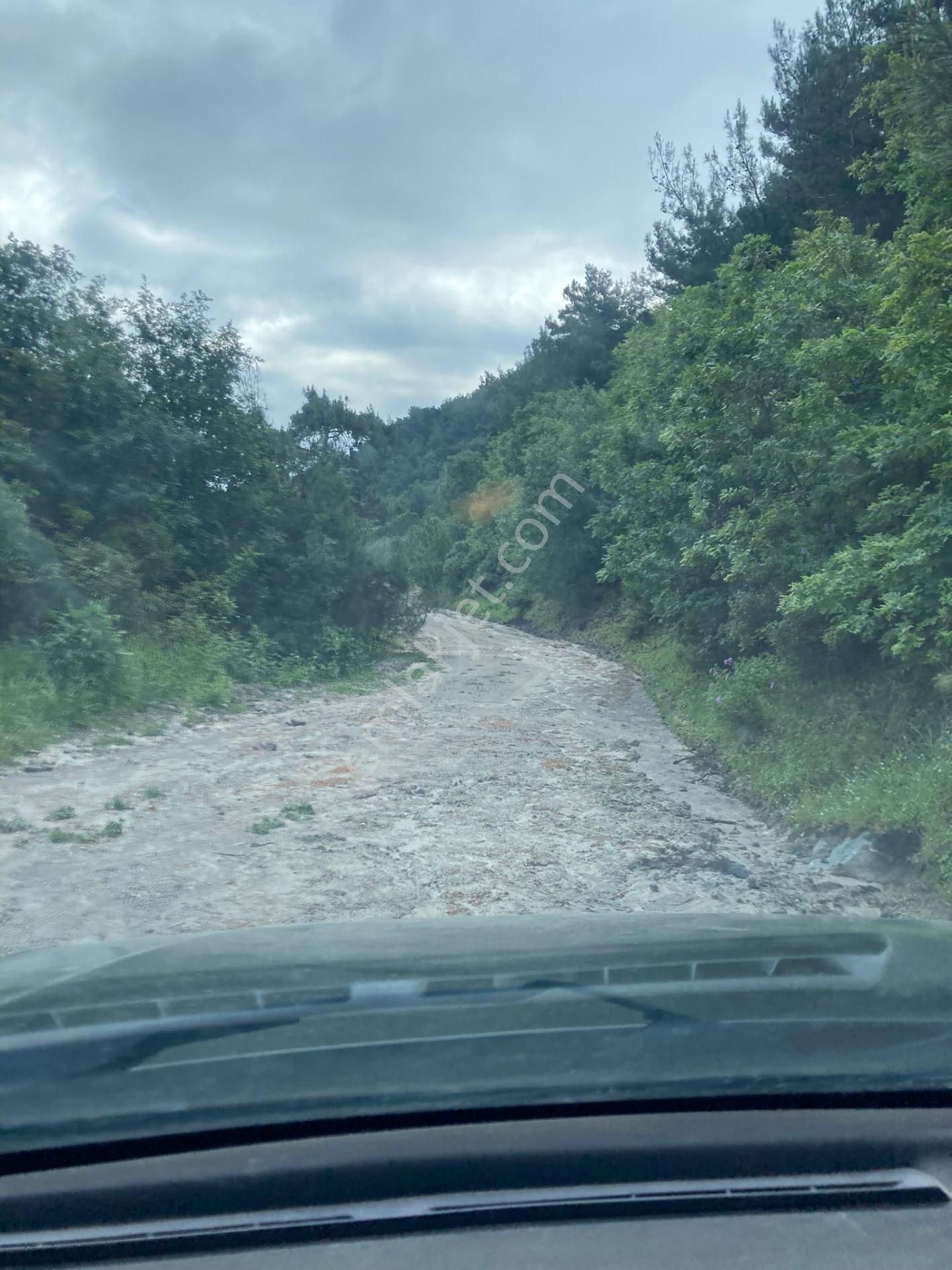 Bergama Yerlitahtacı Satılık Tarla İzmir Bergama'da Satılık Tarla