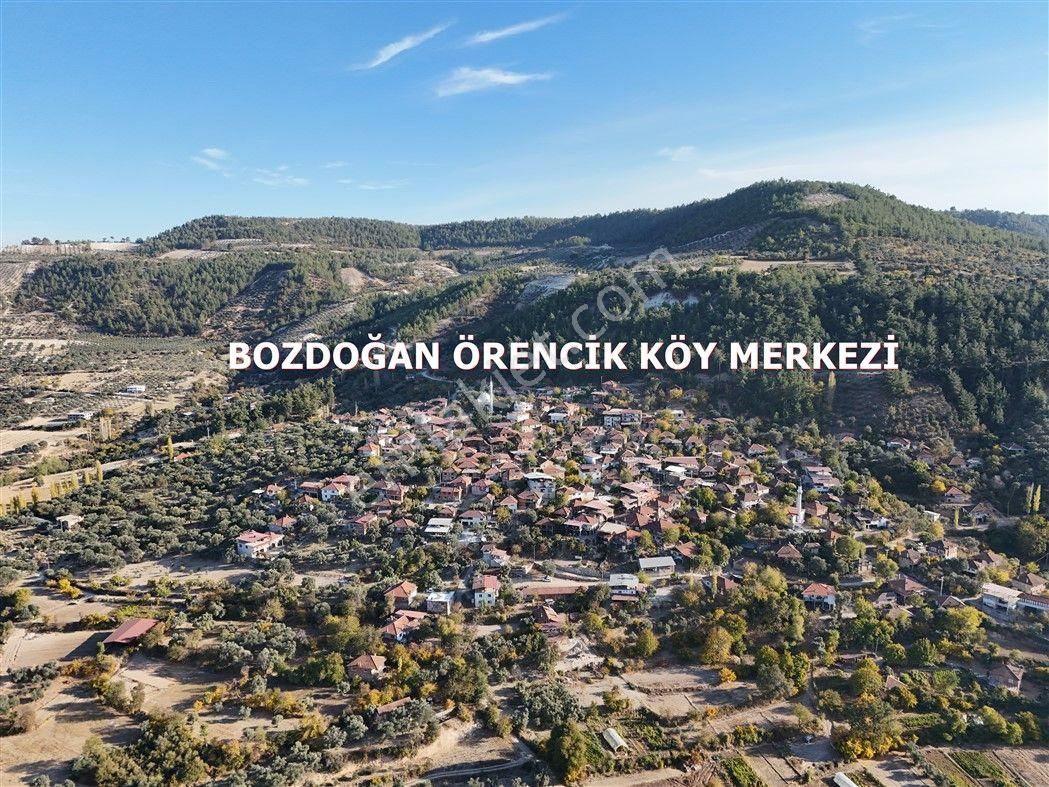 Bozdoğan Örencik Satılık Zeytinlik Aydın Bozdoğan Örencikte Köy Merkezine Yakın Satılık Zeytinlik