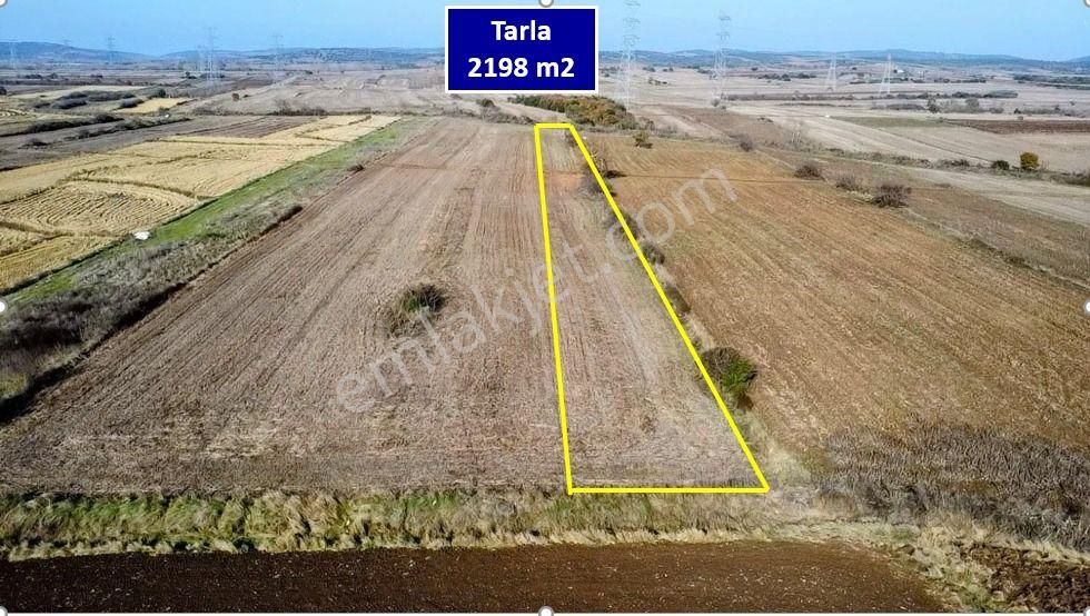 Biga Bekirli Köyü Satılık Tarla Çanakkale Biga Bekirli'de Yolu Olan 2200 M2 Satılık Tarla