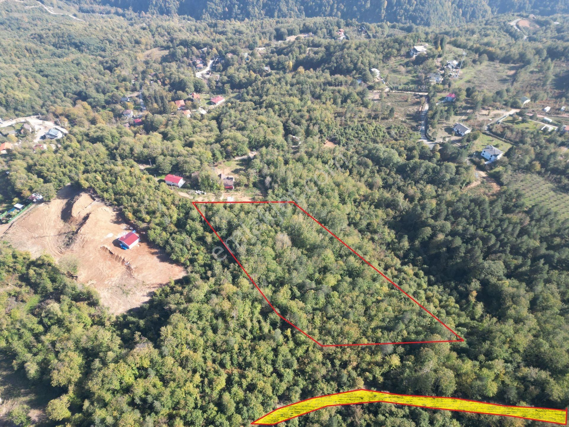 Memnuniye'de 5.546 M2 Manzaralı Ferah Bahçe - Görsel 9