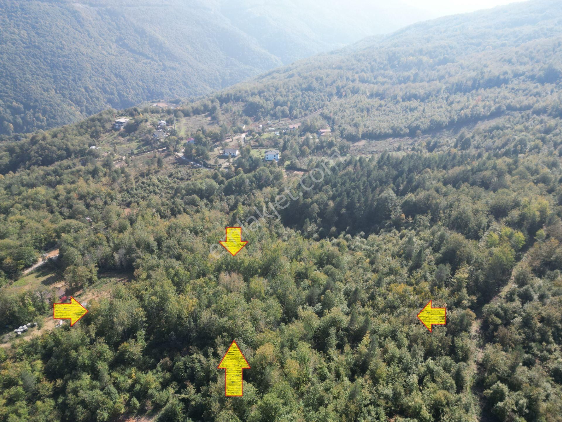 Memnuniye'de 5.546 M2 Manzaralı Ferah Bahçe - Görsel 18
