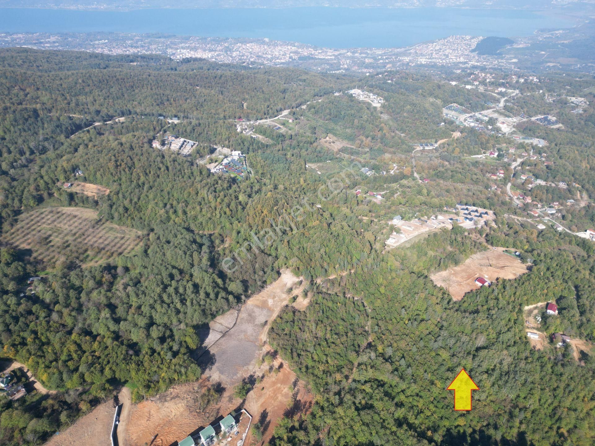 Memnuniye'de 5.546 M2 Manzaralı Ferah Bahçe - Görsel 3