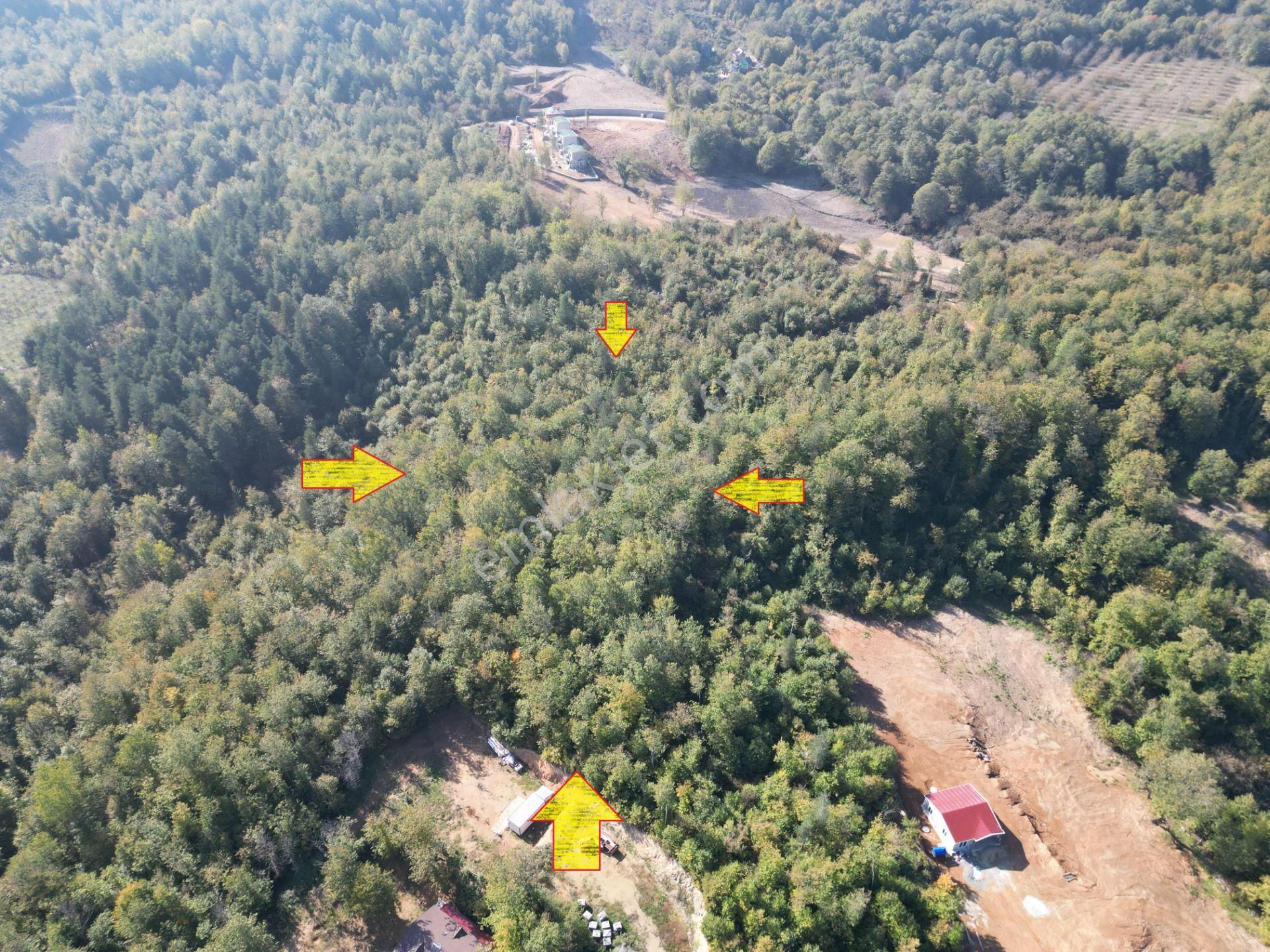 Memnuniye'de 5.546 M2 Manzaralı Ferah Bahçe - Görsel 25