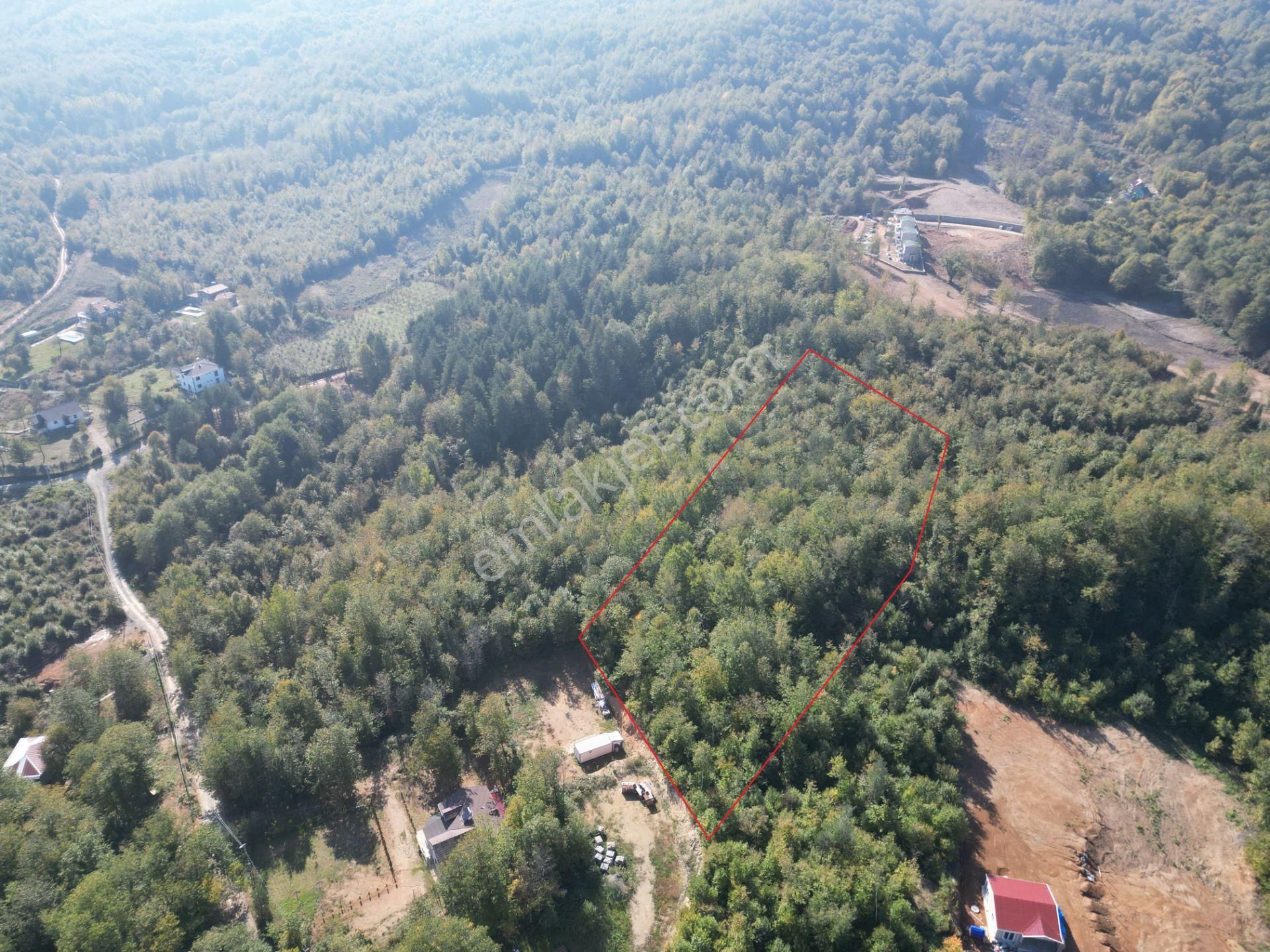 Memnuniye'de 5.546 M2 Manzaralı Ferah Bahçe - Görsel 20
