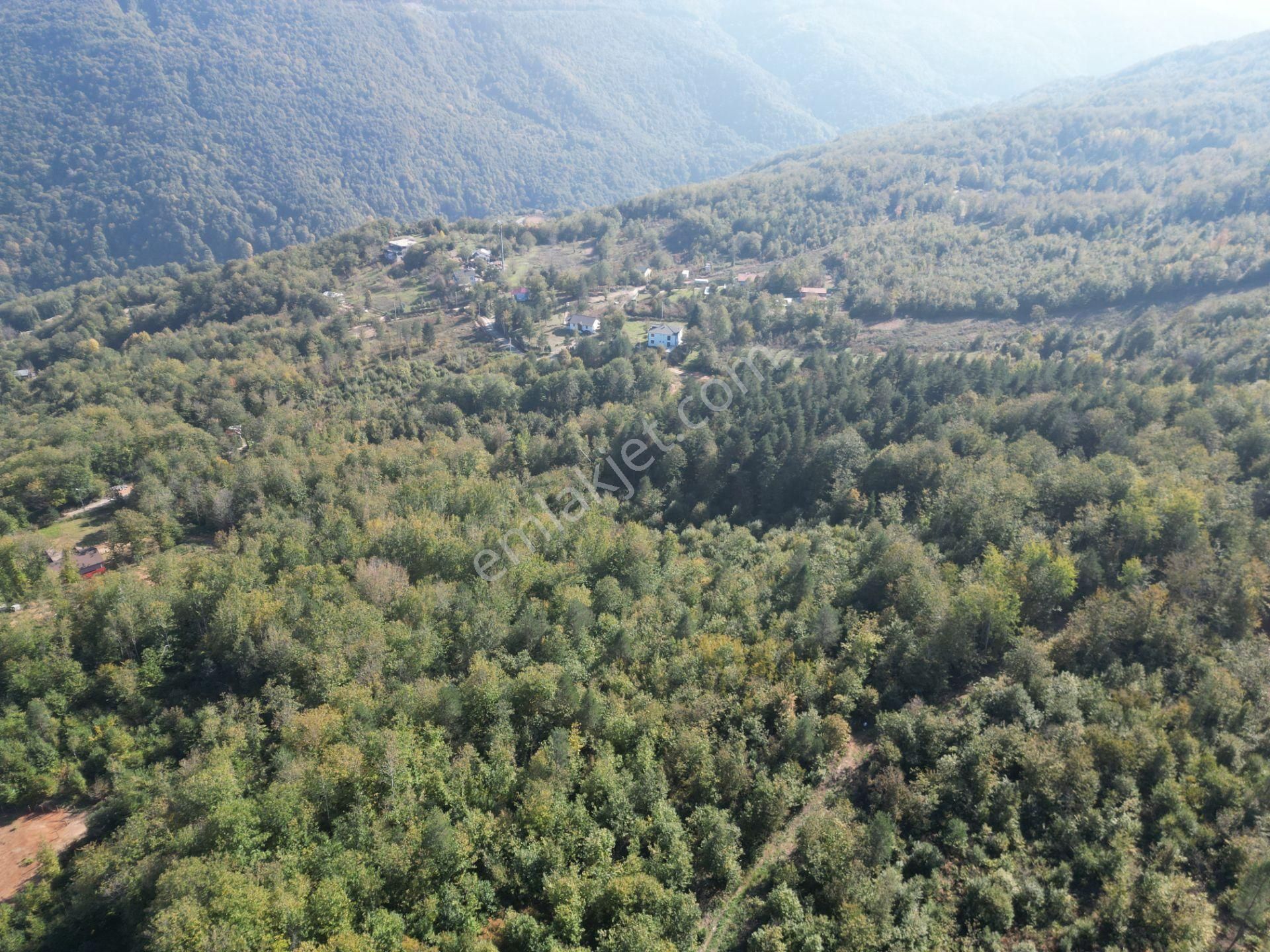 Memnuniye'de 5.546 M2 Manzaralı Ferah Bahçe - Görsel 17