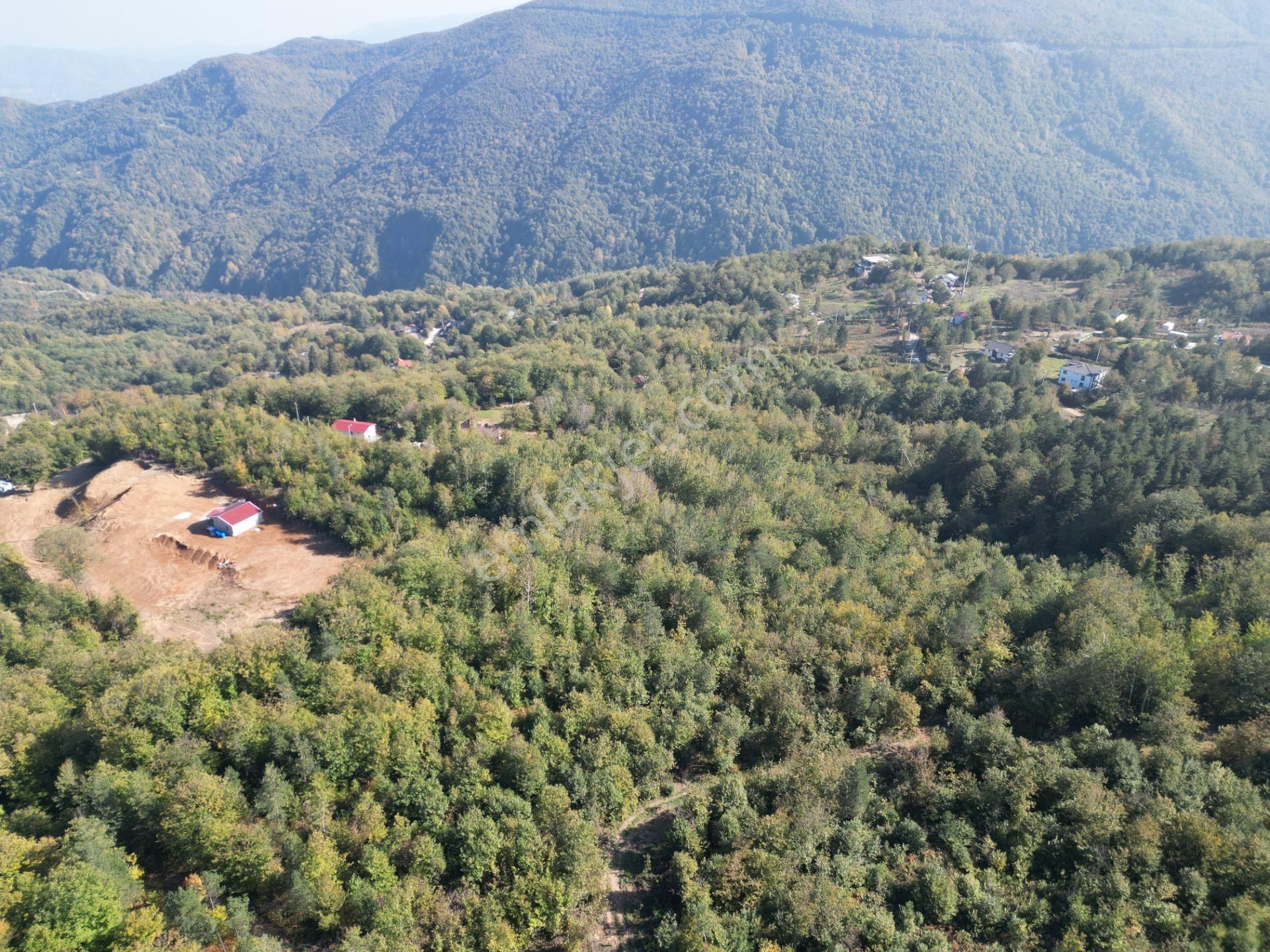 Memnuniye'de 5.546 M2 Manzaralı Ferah Bahçe - Görsel 8