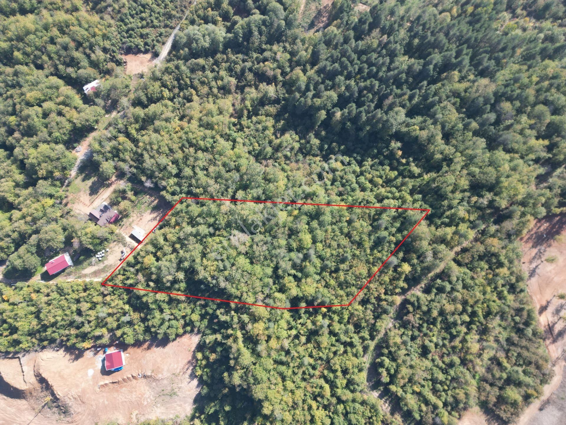 Memnuniye'de 5.546 M2 Manzaralı Ferah Bahçe - Görsel 10