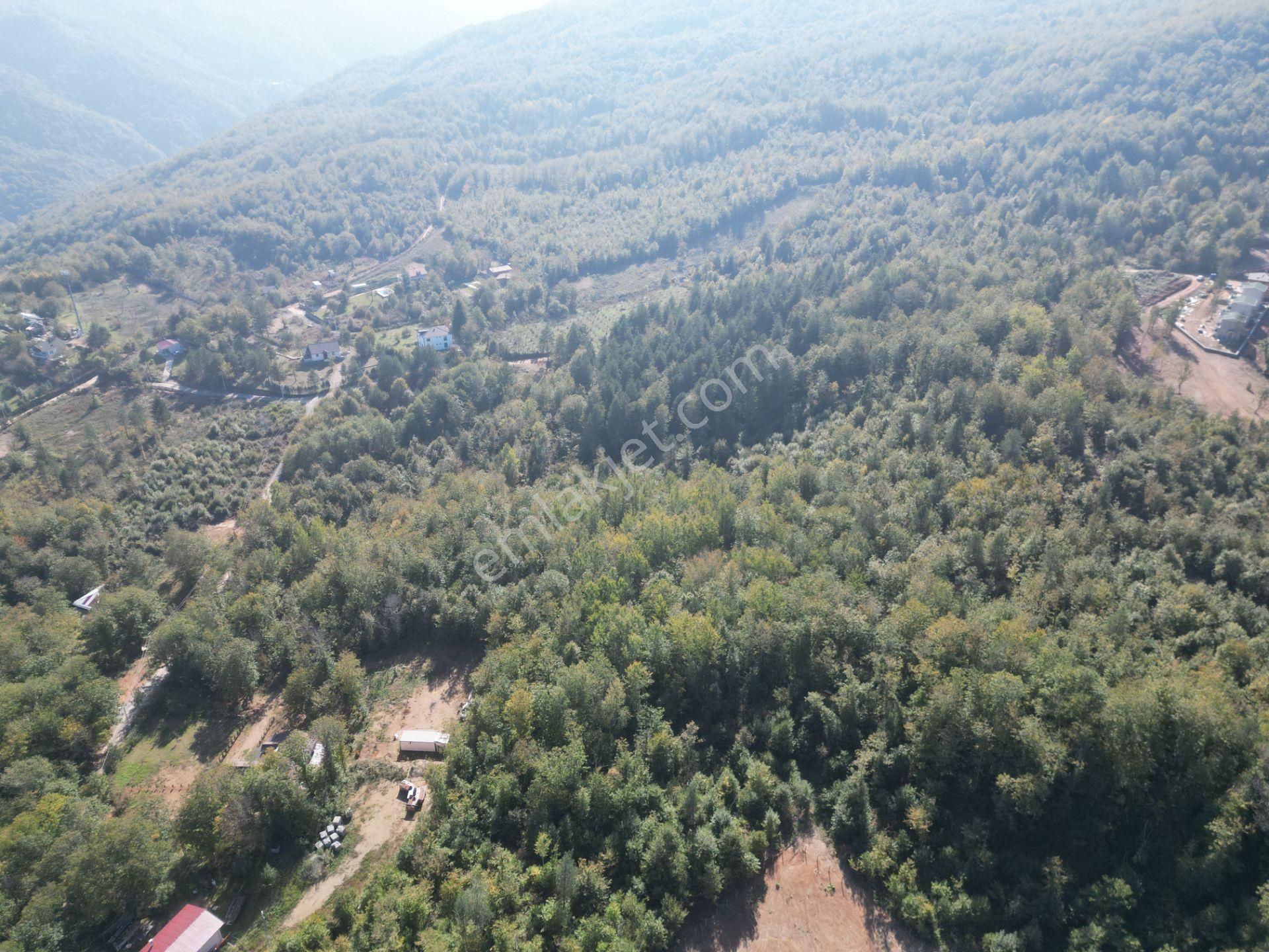 Memnuniye'de 5.546 M2 Manzaralı Ferah Bahçe - Görsel 19