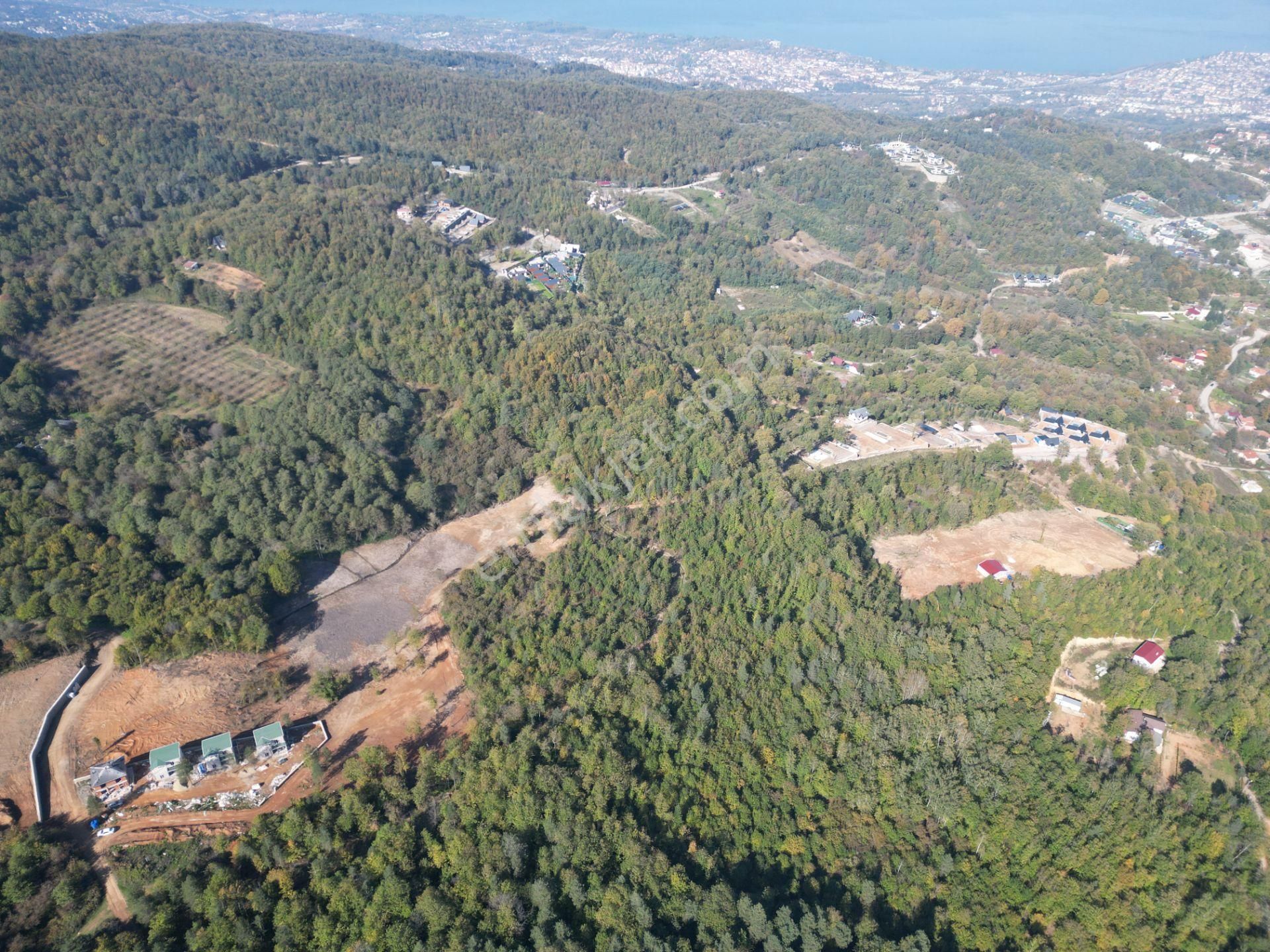 Memnuniye'de 5.546 M2 Manzaralı Ferah Bahçe - Görsel 28