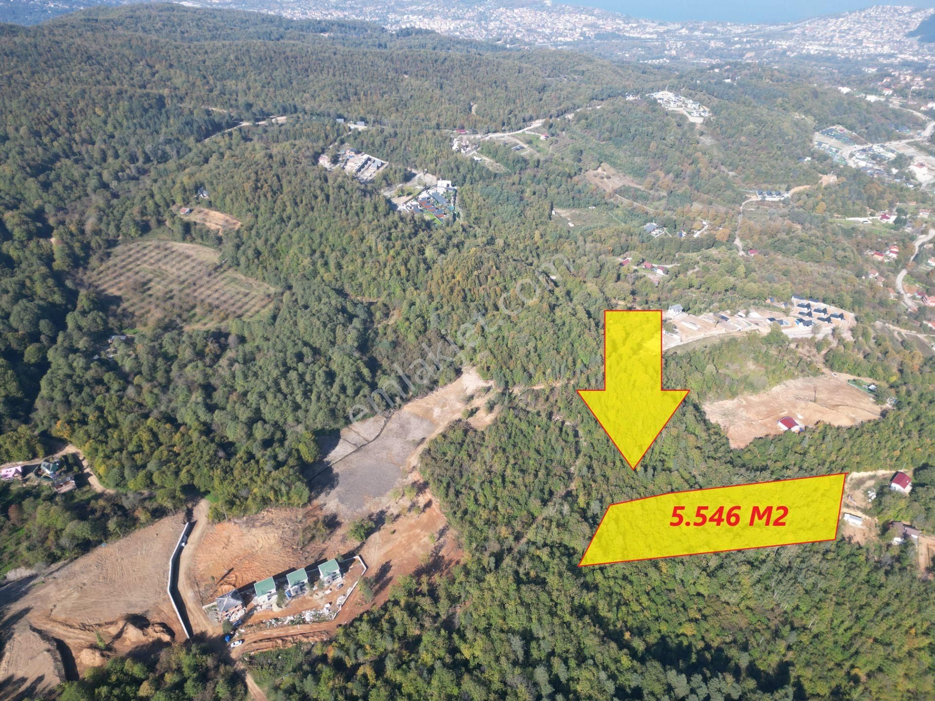 Sapanca Memnuniye Satılık Bağ & Bahçe Memnuniye'de 5.546 M2 Manzaralı Ferah Bahçe