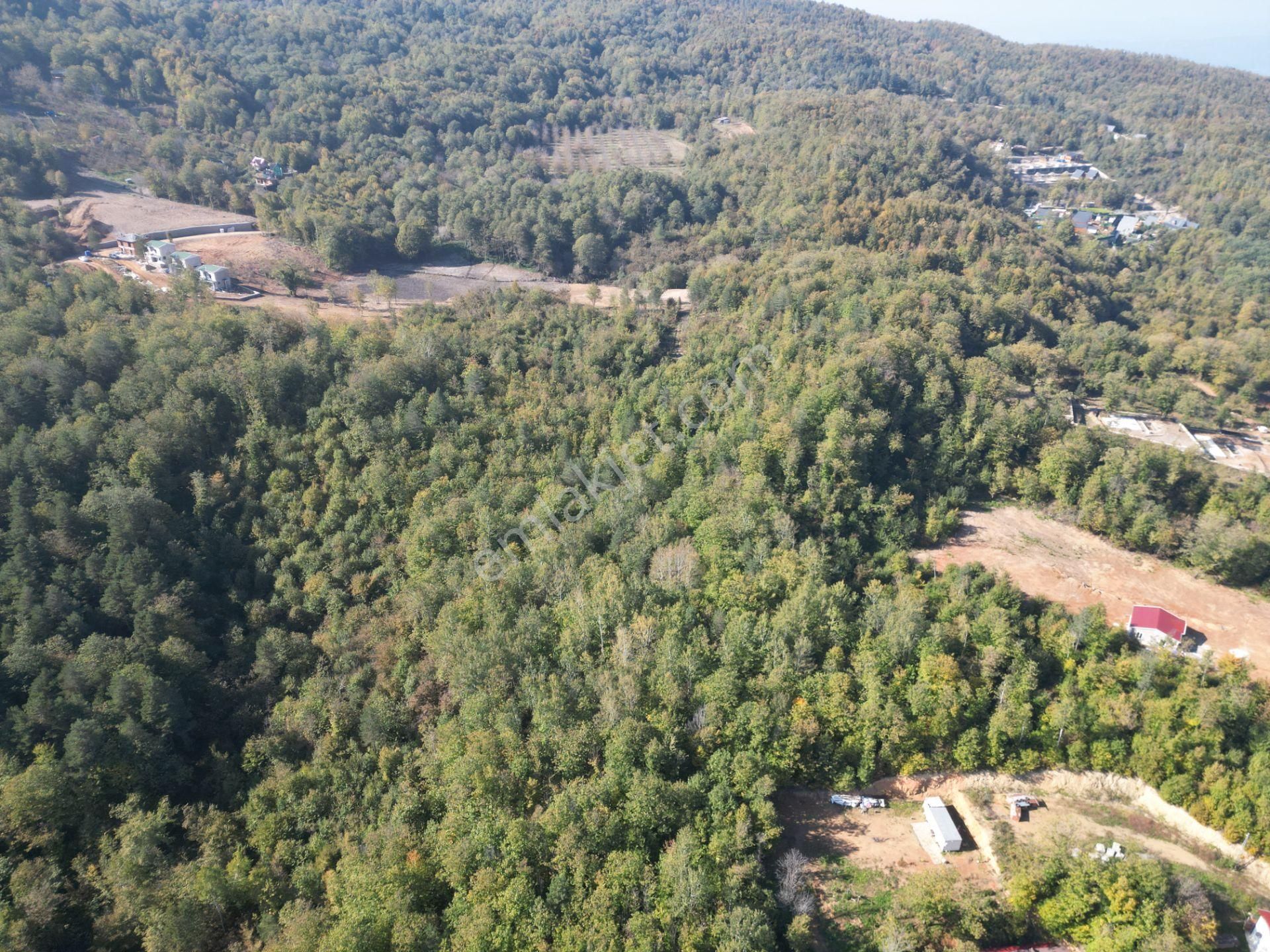 Memnuniye'de 5.546 M2 Manzaralı Ferah Bahçe - Görsel 23