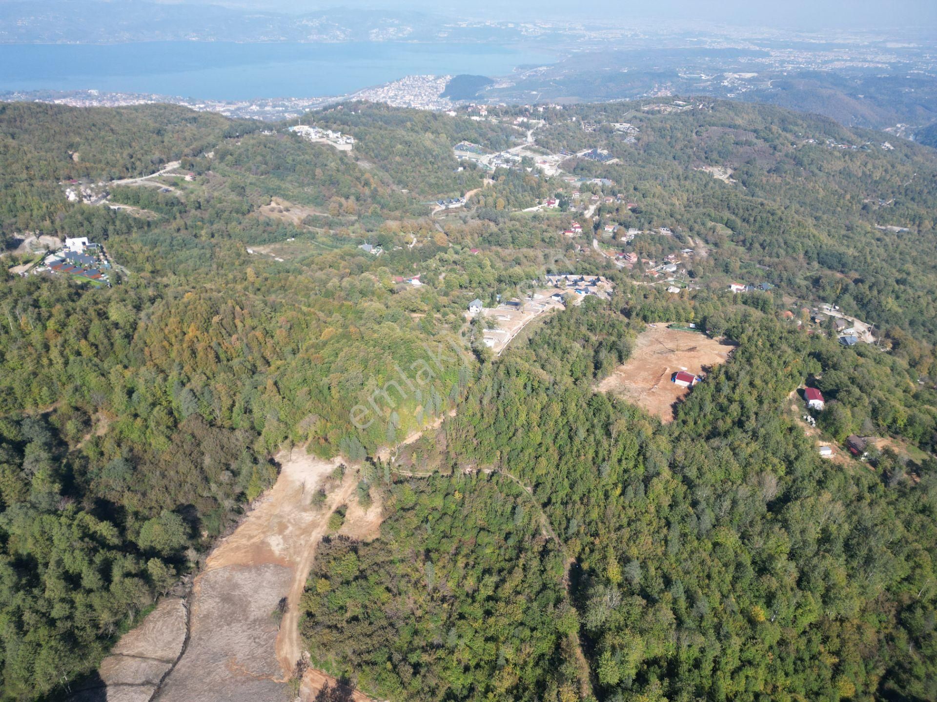 Memnuniye'de 5.546 M2 Manzaralı Ferah Bahçe - Görsel 4