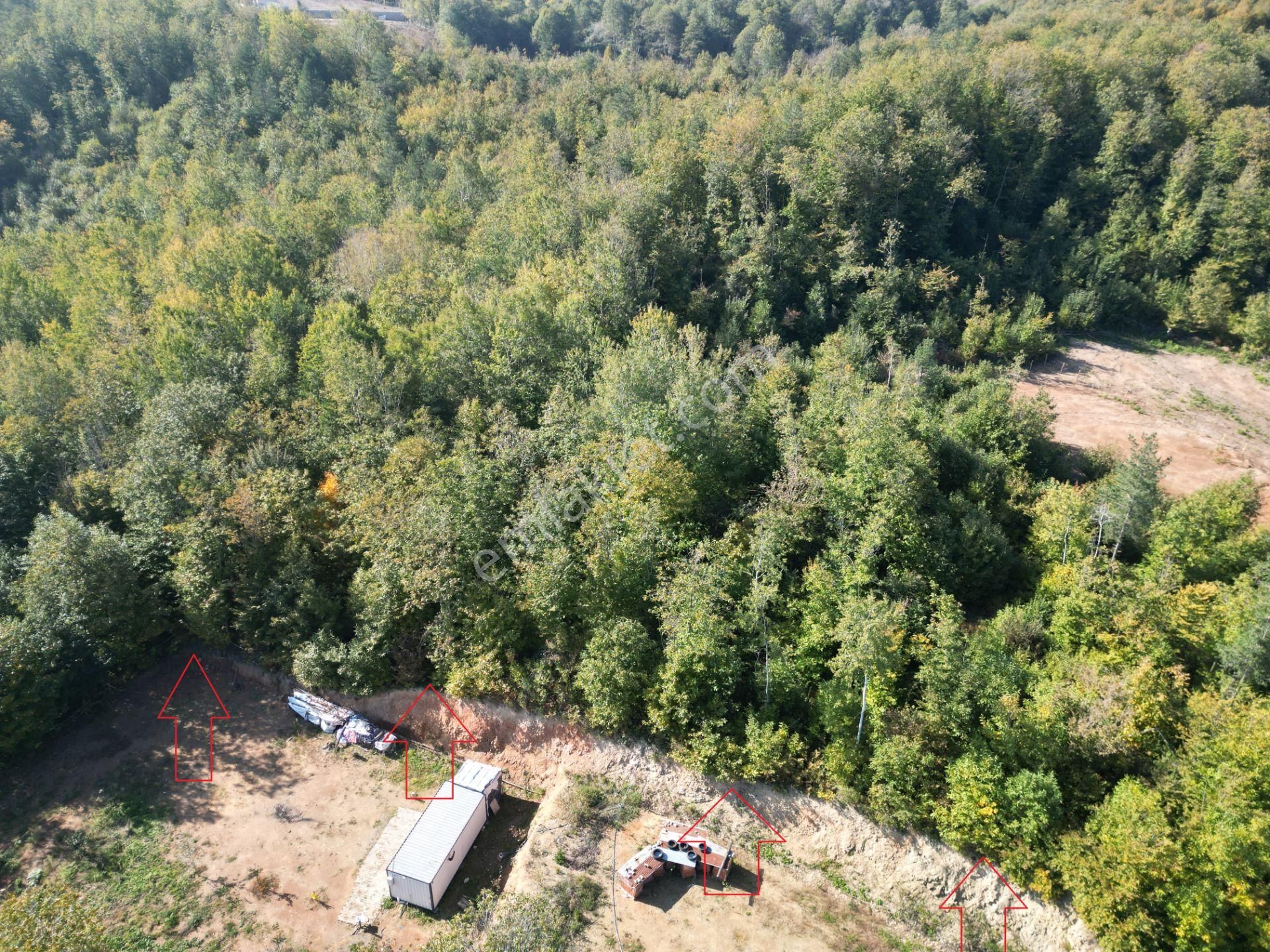 Memnuniye'de 5.546 M2 Manzaralı Ferah Bahçe - Görsel 27
