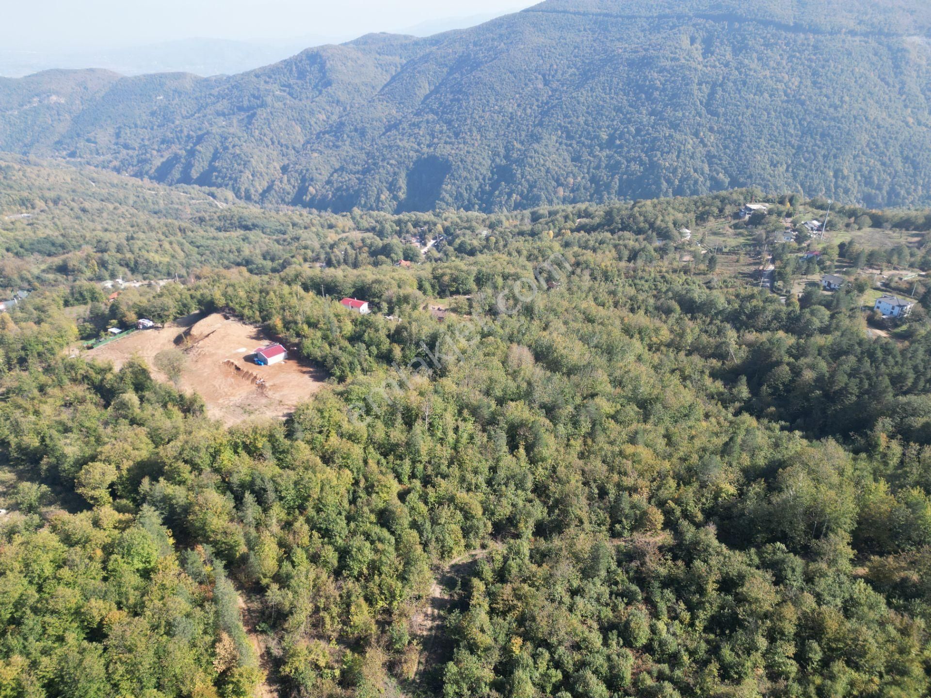Memnuniye'de 5.546 M2 Manzaralı Ferah Bahçe - Görsel 7