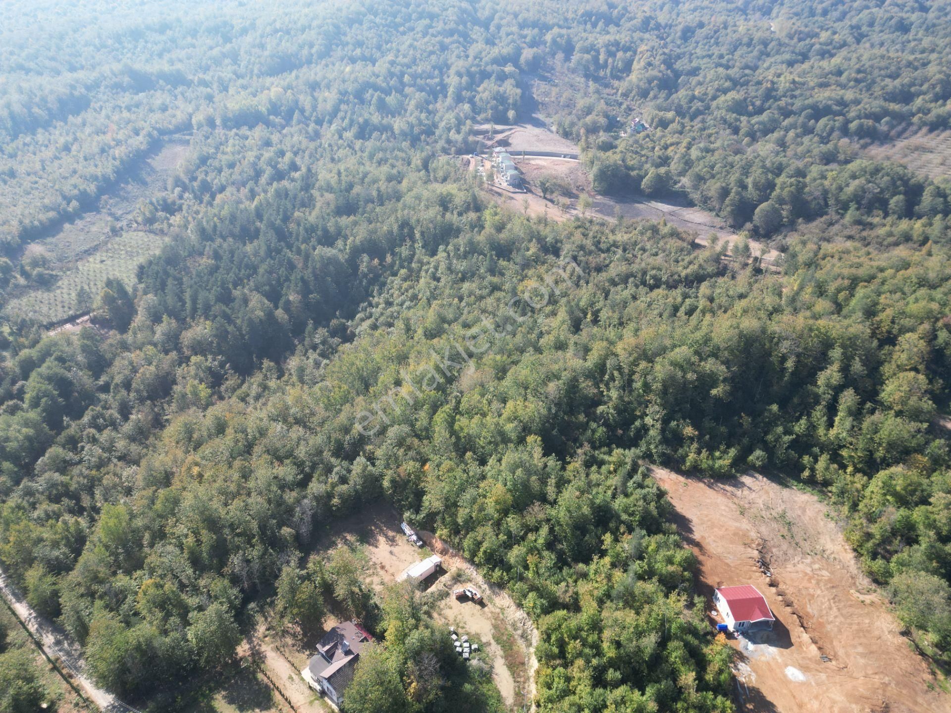 Memnuniye'de 5.546 M2 Manzaralı Ferah Bahçe - Görsel 21