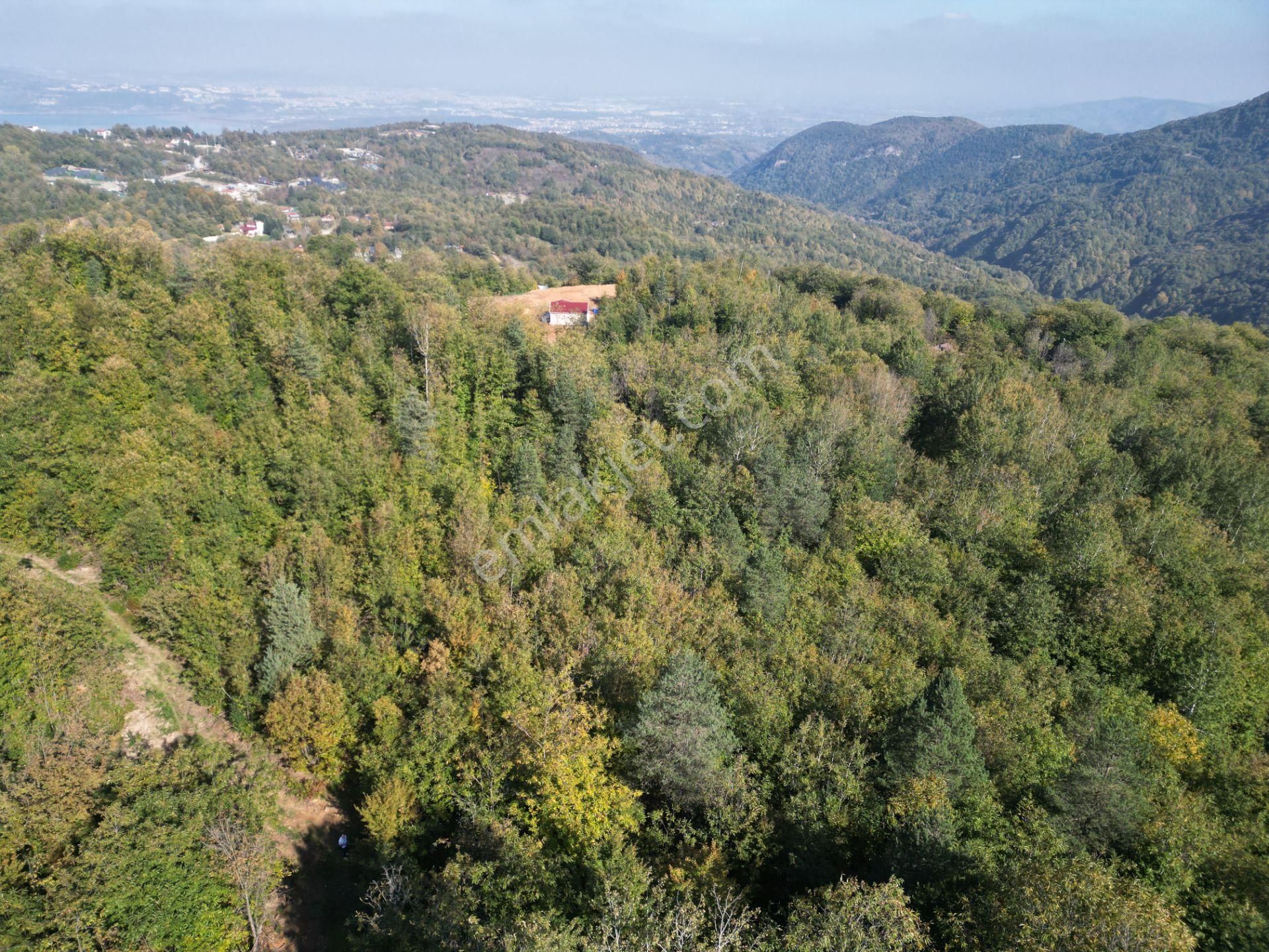 Memnuniye'de 5.546 M2 Manzaralı Ferah Bahçe - Görsel 15