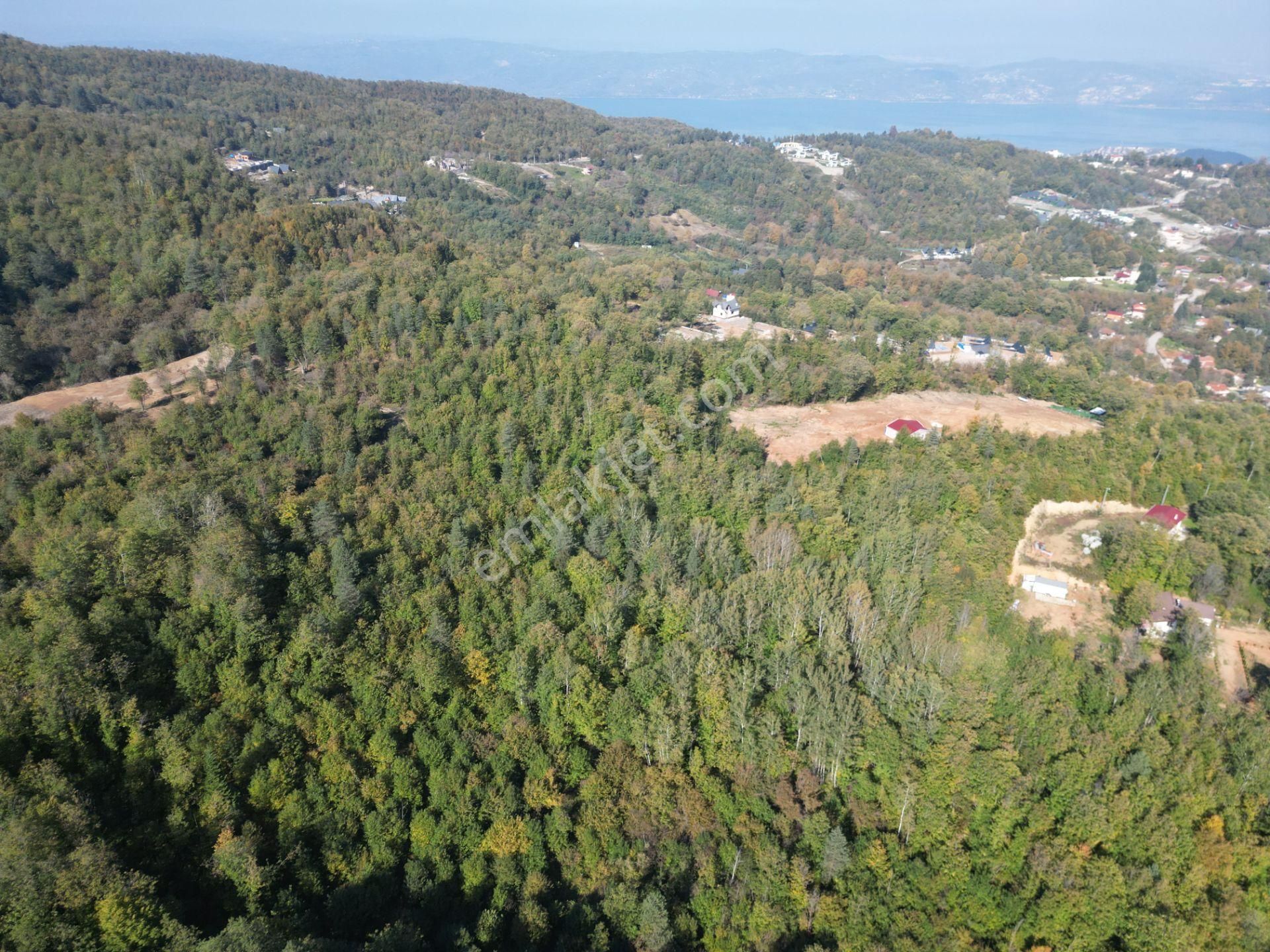 Memnuniye'de 5.546 M2 Manzaralı Ferah Bahçe - Görsel 24