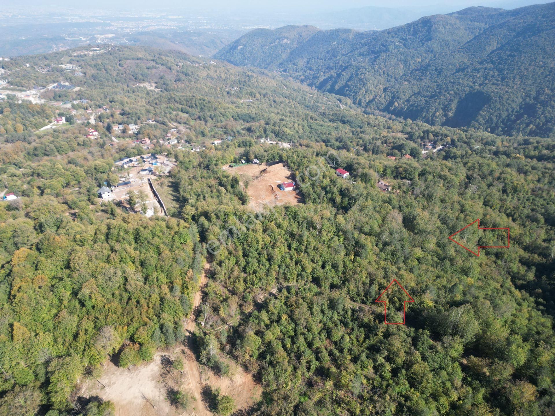 Memnuniye'de 5.546 M2 Manzaralı Ferah Bahçe - Görsel 6