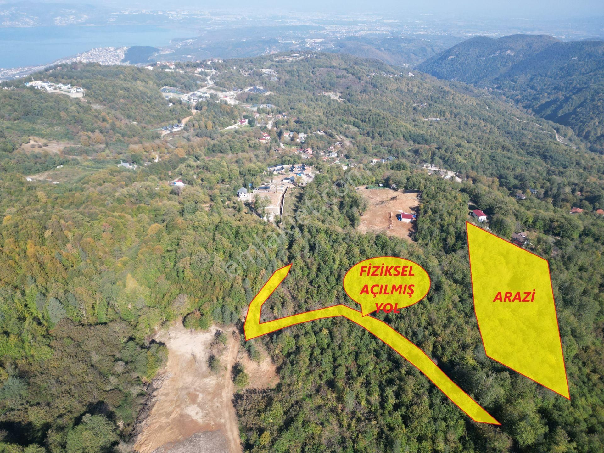 Memnuniye'de 5.546 M2 Manzaralı Ferah Bahçe - Görsel 5