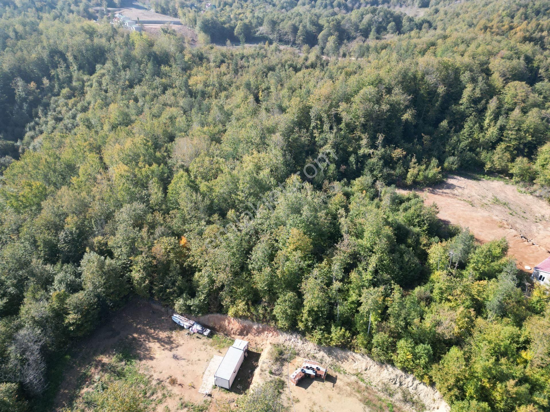 Memnuniye'de 5.546 M2 Manzaralı Ferah Bahçe - Görsel 26