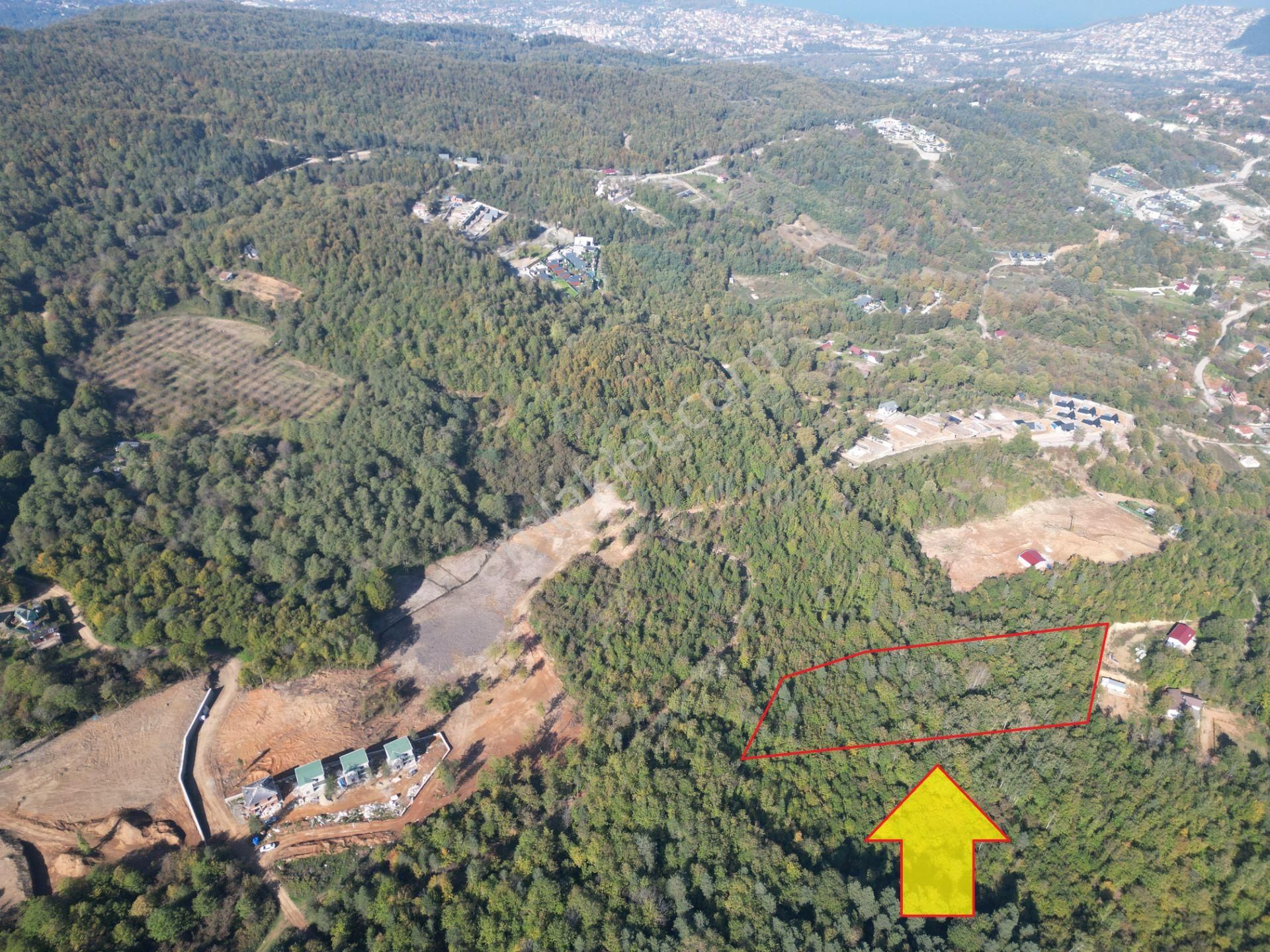 Memnuniye'de 5.546 M2 Manzaralı Ferah Bahçe - Görsel 2