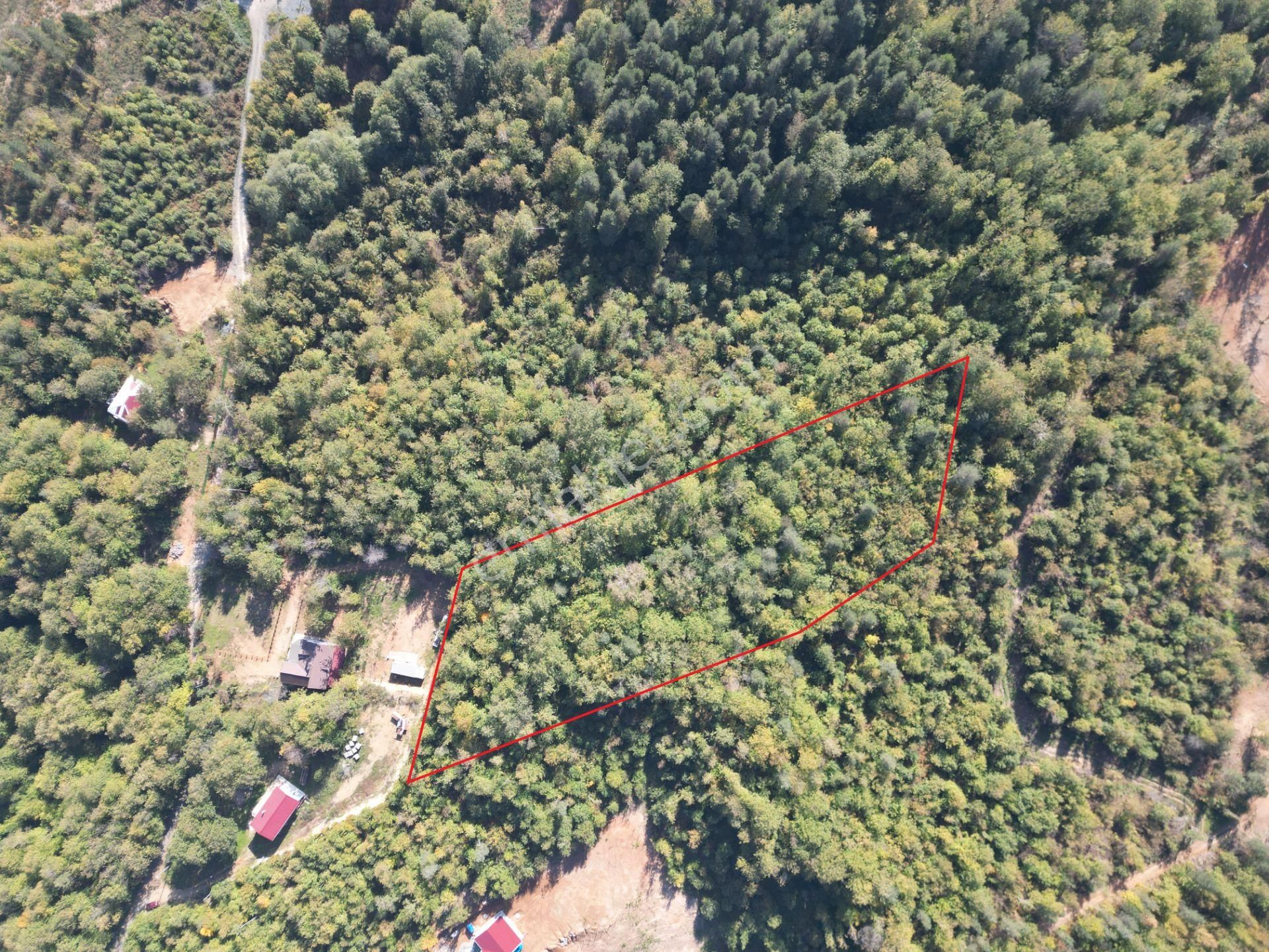 Memnuniye'de 5.546 M2 Manzaralı Ferah Bahçe - Görsel 11