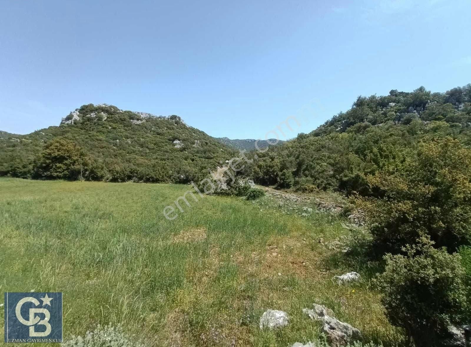 Söğüt'te Yola Yakın Konumda Düzlük Alanda Tarla - Görsel 2