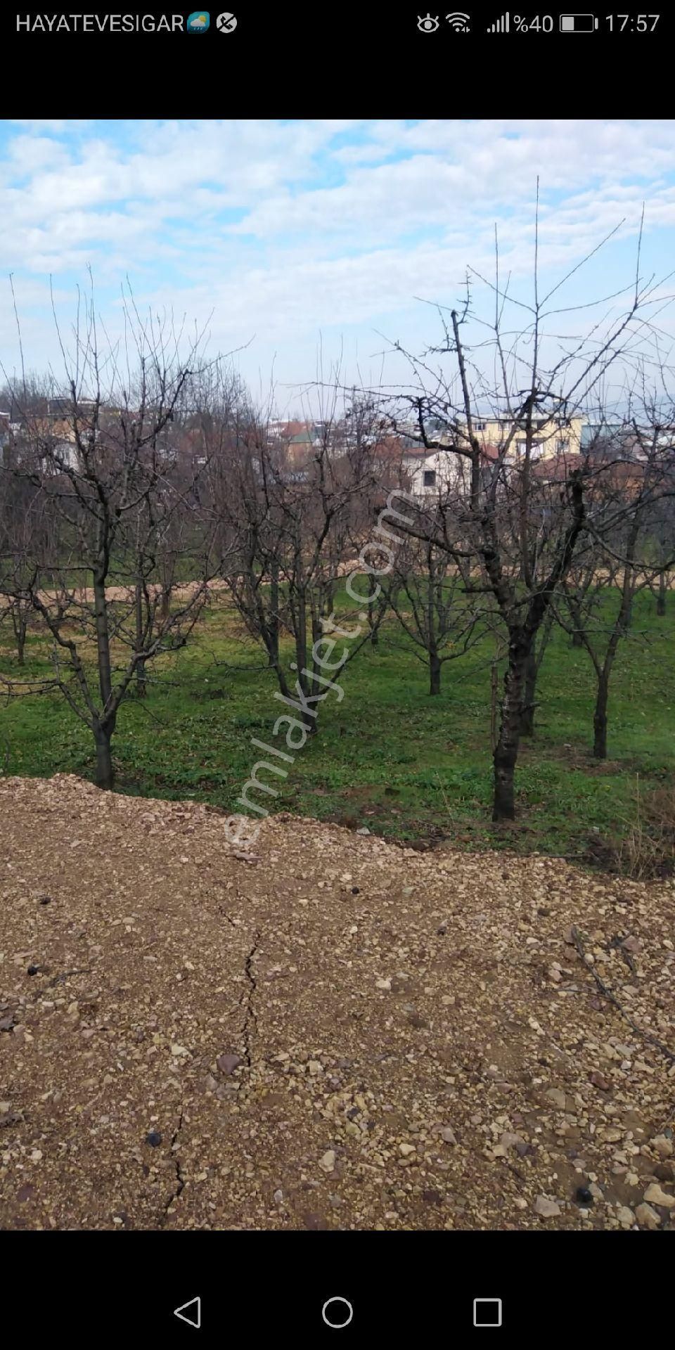 Bursa Kestel Babasultan Merkezde Satılık Hobı Bahcesı - Görsel 5