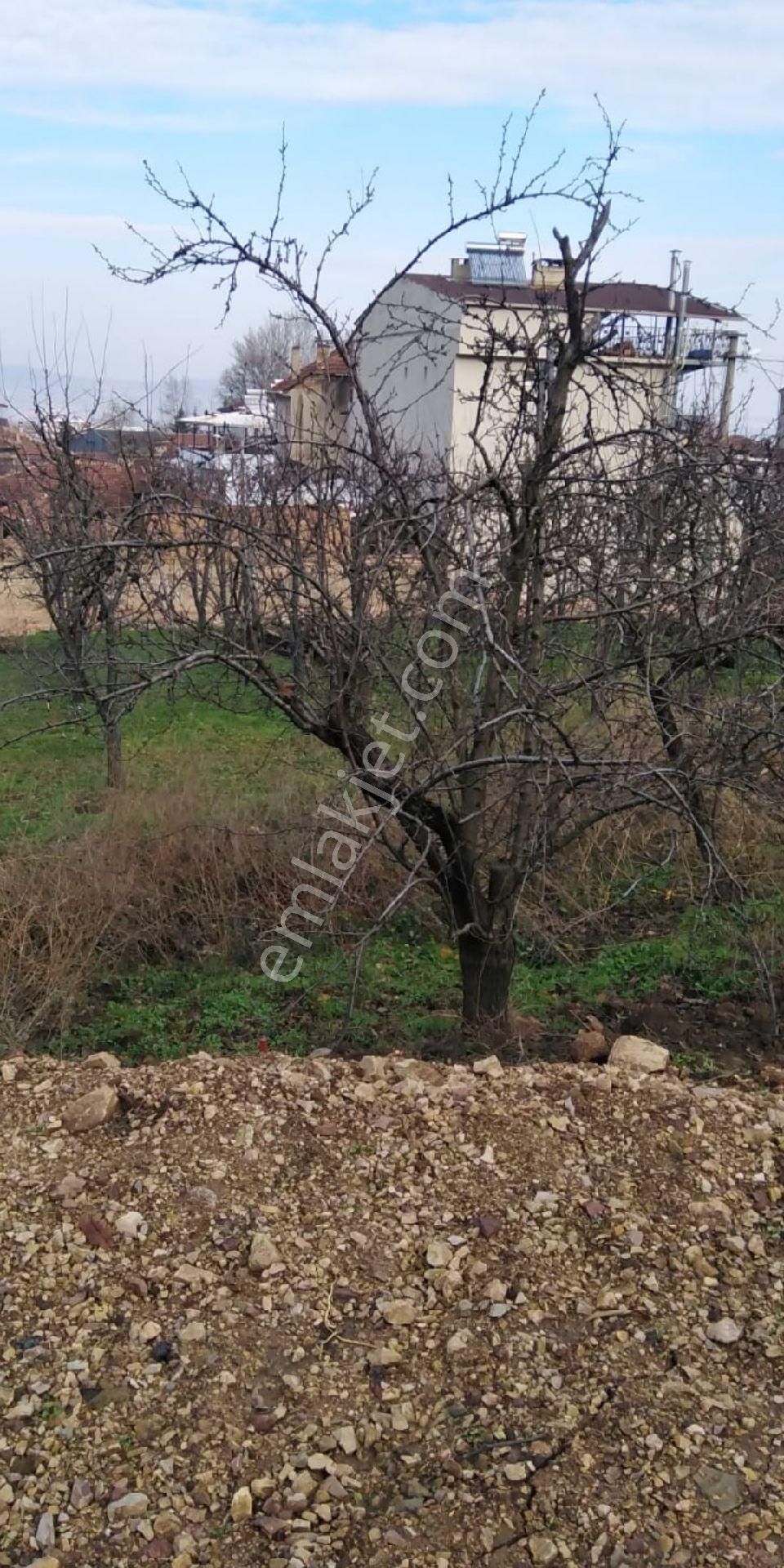 Bursa Kestel Babasultan Merkezde Satılık Hobı Bahcesı - Görsel 3