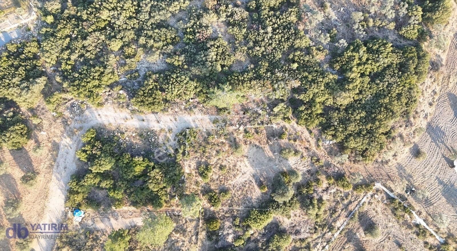 Torbalı Yazıbaşı İmarlı 400 M2 Arsa