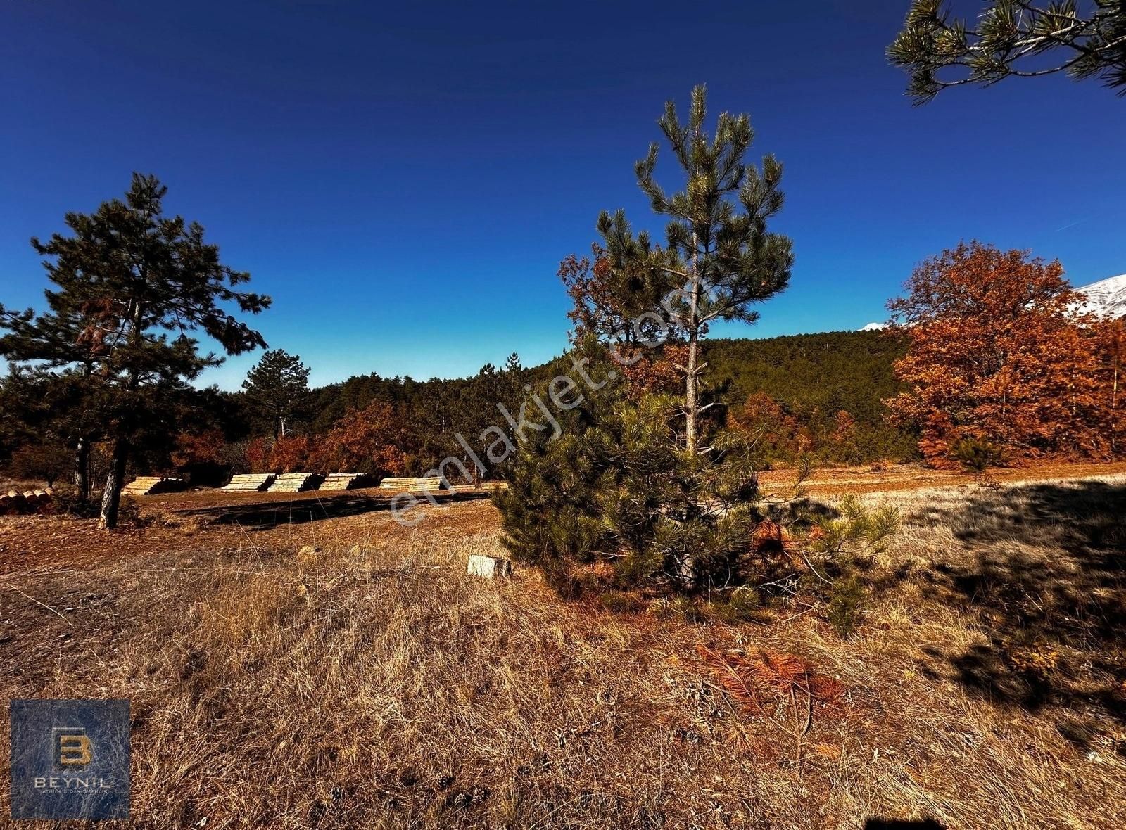 Osmangazi Güneybudaklar Satılık Tarla Beynilden Bursa Osmangazi Güneybudaklarda 3768m2 Satılık Tarla