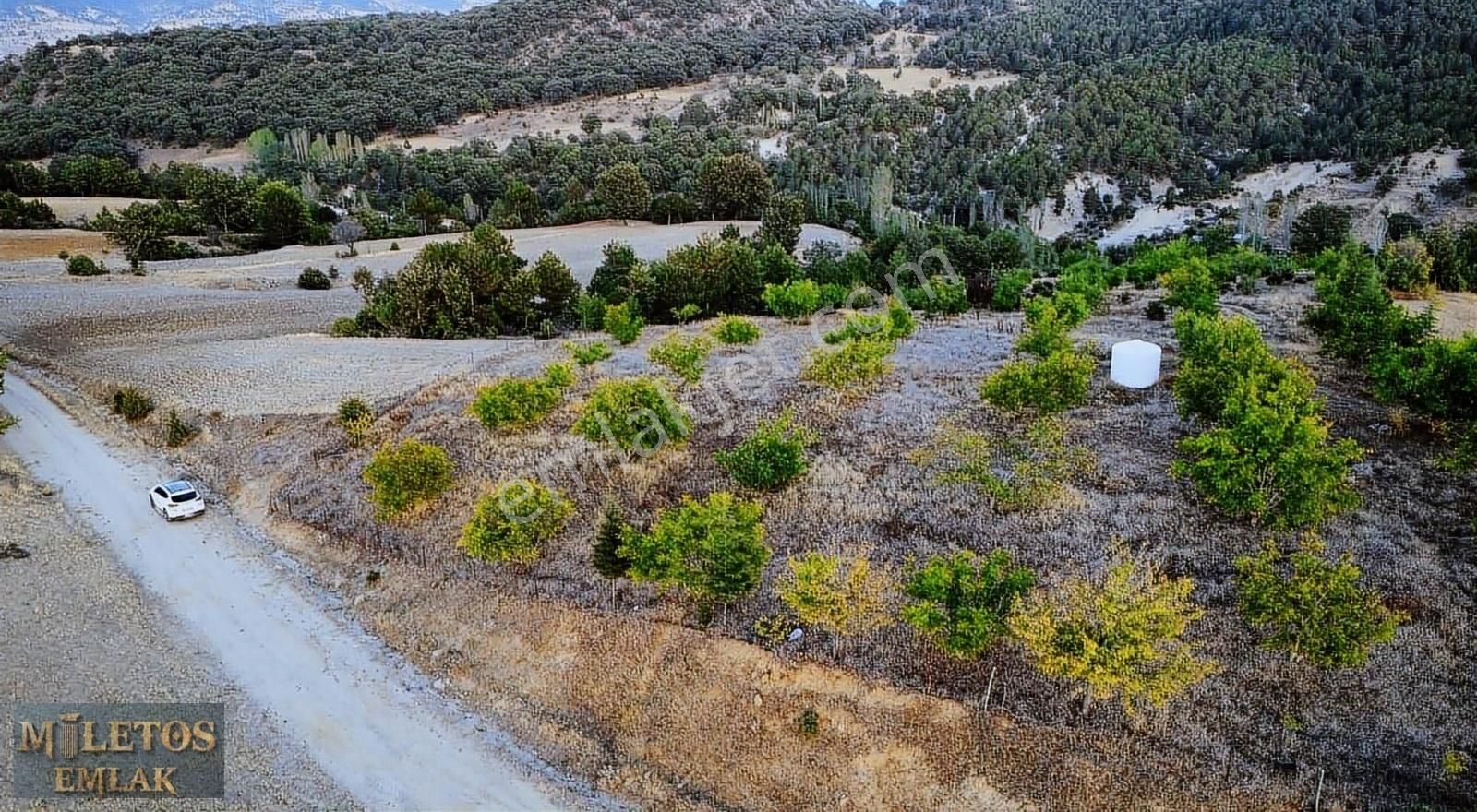 Gediz Aşıkpaşa Köyü Satılık Tarla Kelepir 20 Dönüm Ceviz Bahçesi