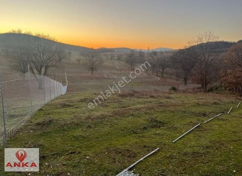 Kestel Gölcük Satılık Tarla Ankadan Fiyat Düştü Gölcük 470m2 Resmi Hisse Tapulu Hobi Bahçesi