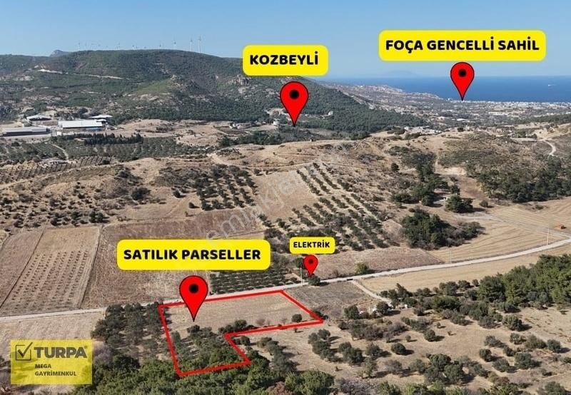 Foça Yeniköy Satılık Zeytinlik Foça Yeniköy De Kozbeyli Yanında 452 M2 Tarla