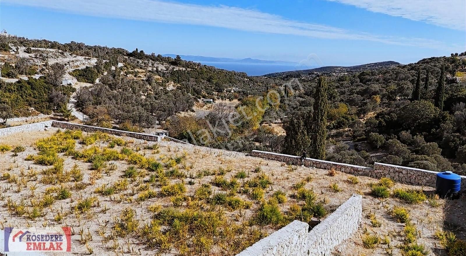 Karaburun Kösedere Satılık Tarla Başpınarda Deniz Manzaralı Çevresi Taş Duvar İle Çevrilik Arazi