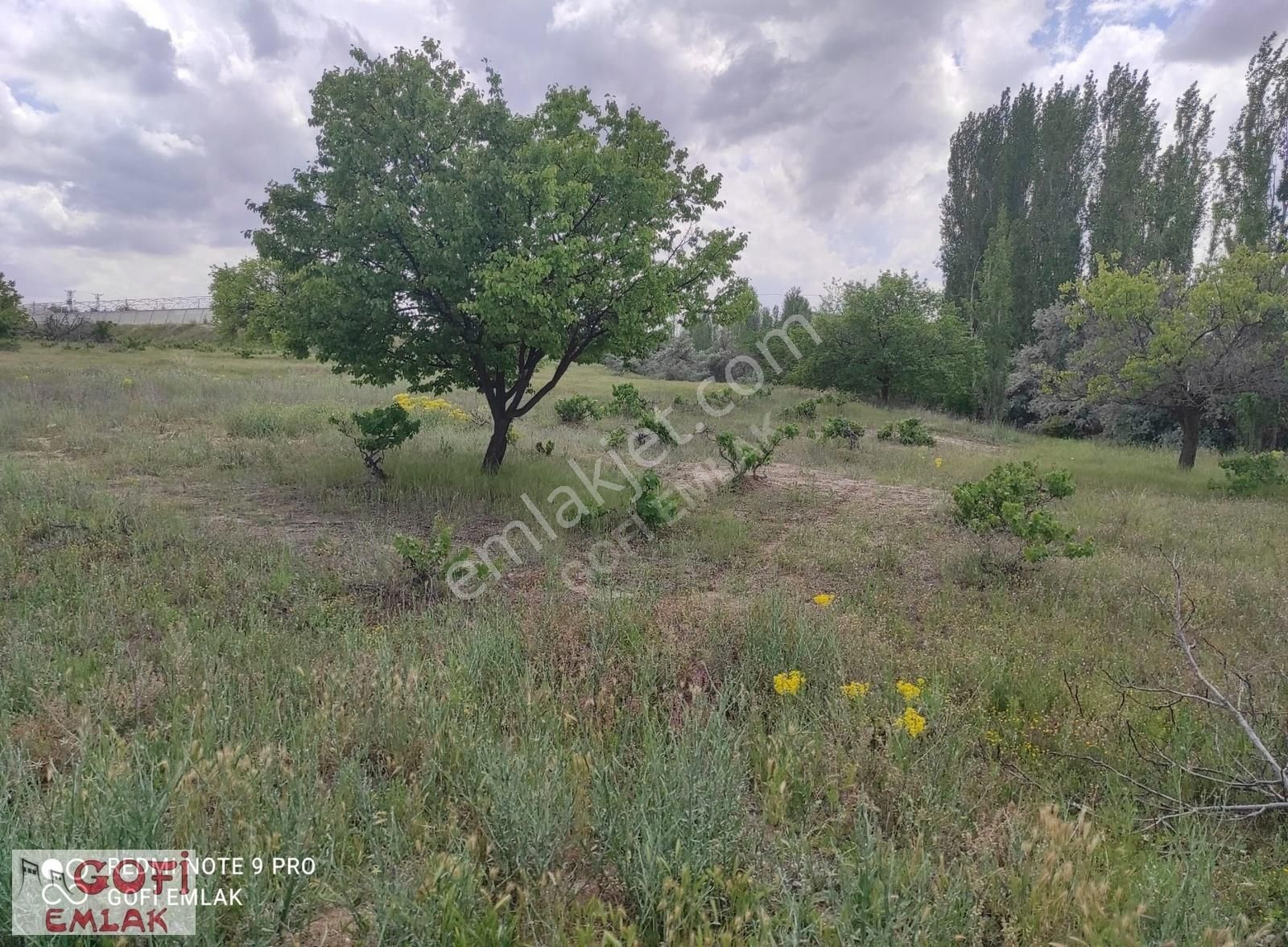 Nevşehir Merkez Nar Bld. (Yeni) Satılık Bağ & Bahçe Gofi Emlak'tan Höyük Depolar Mevkide Tarla