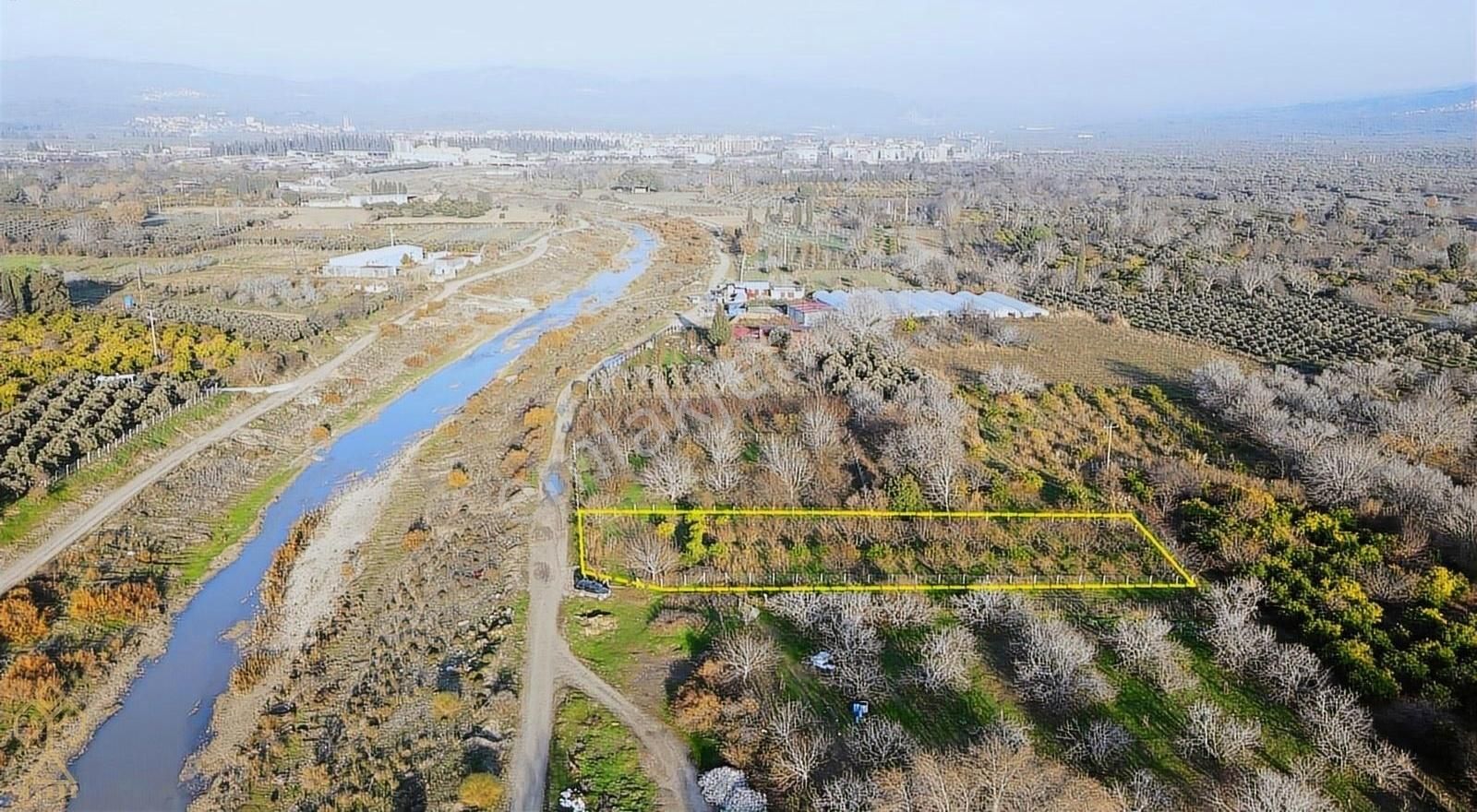 Havran Küçükdere Satılık Tarla Küçükdere'de Satılık Çay Ve Yol Cepheli Satılık Mandalinlik