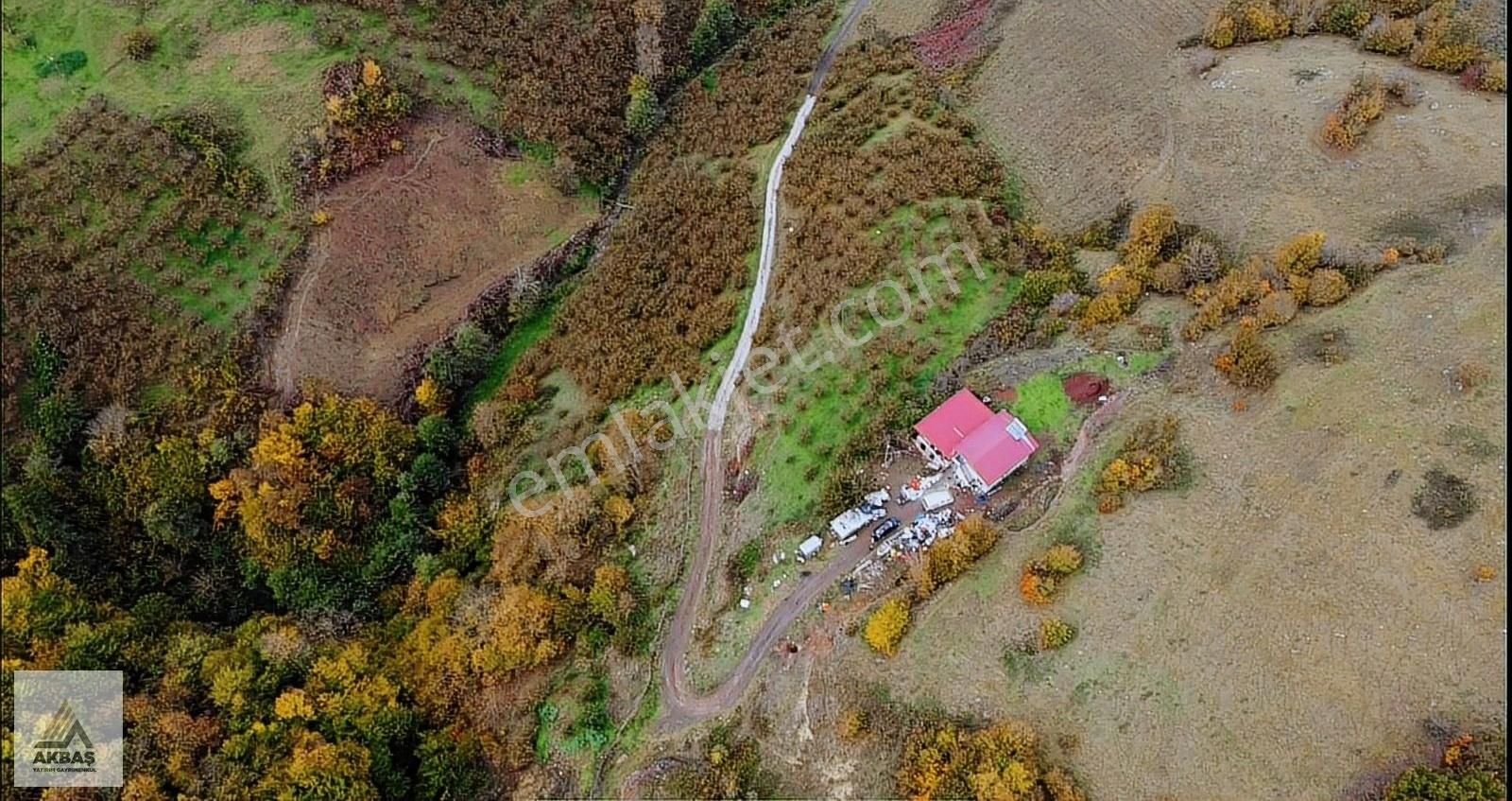 Canik Yeniköy Satılık Tarla Akbaş Yatırım'dan Satılık 16 Dönüm Tarla