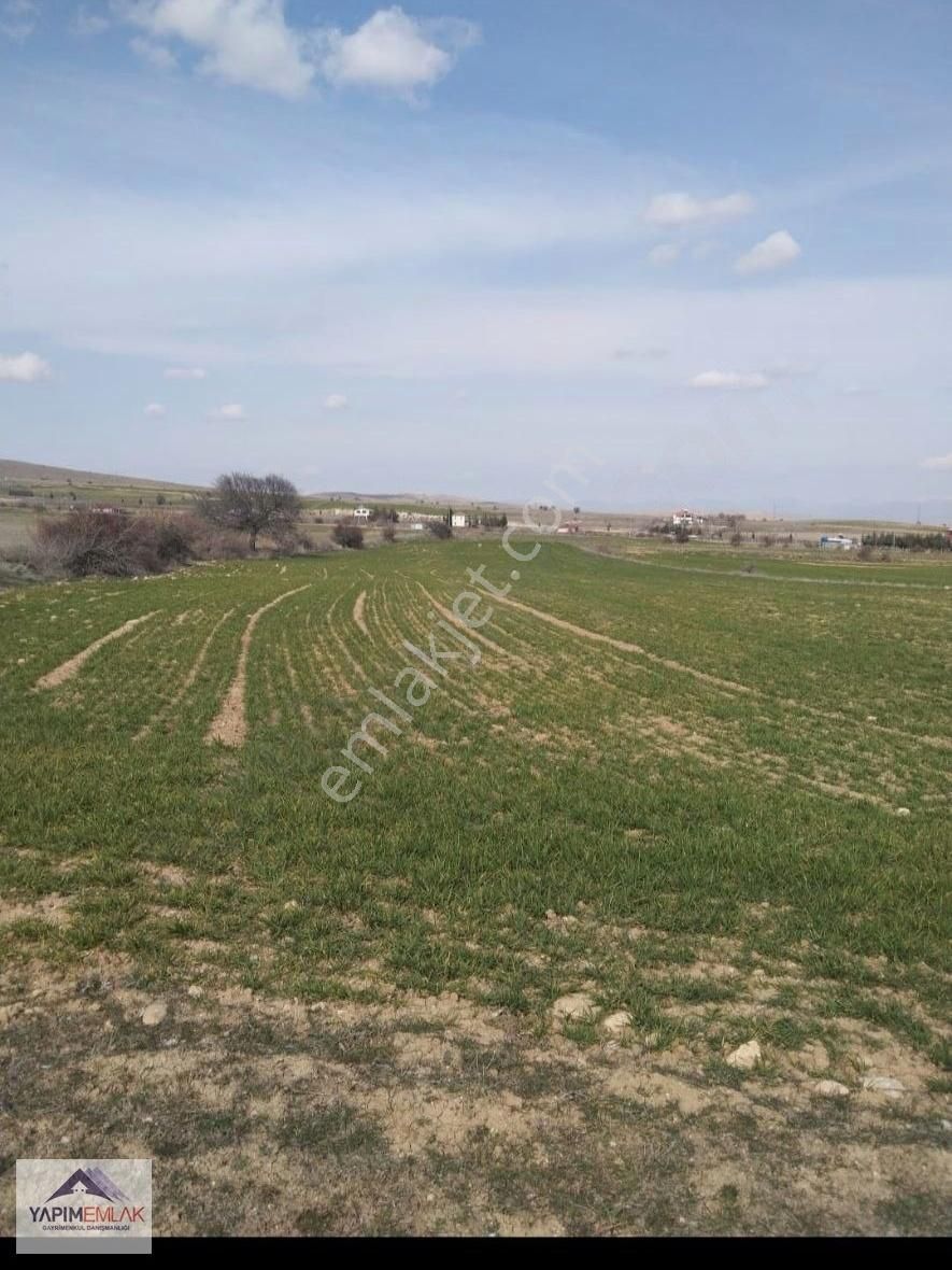 Elazığ Merkez Kavakpınar Köyü Satılık Tarla Temiz Havadar Satılık Tarla